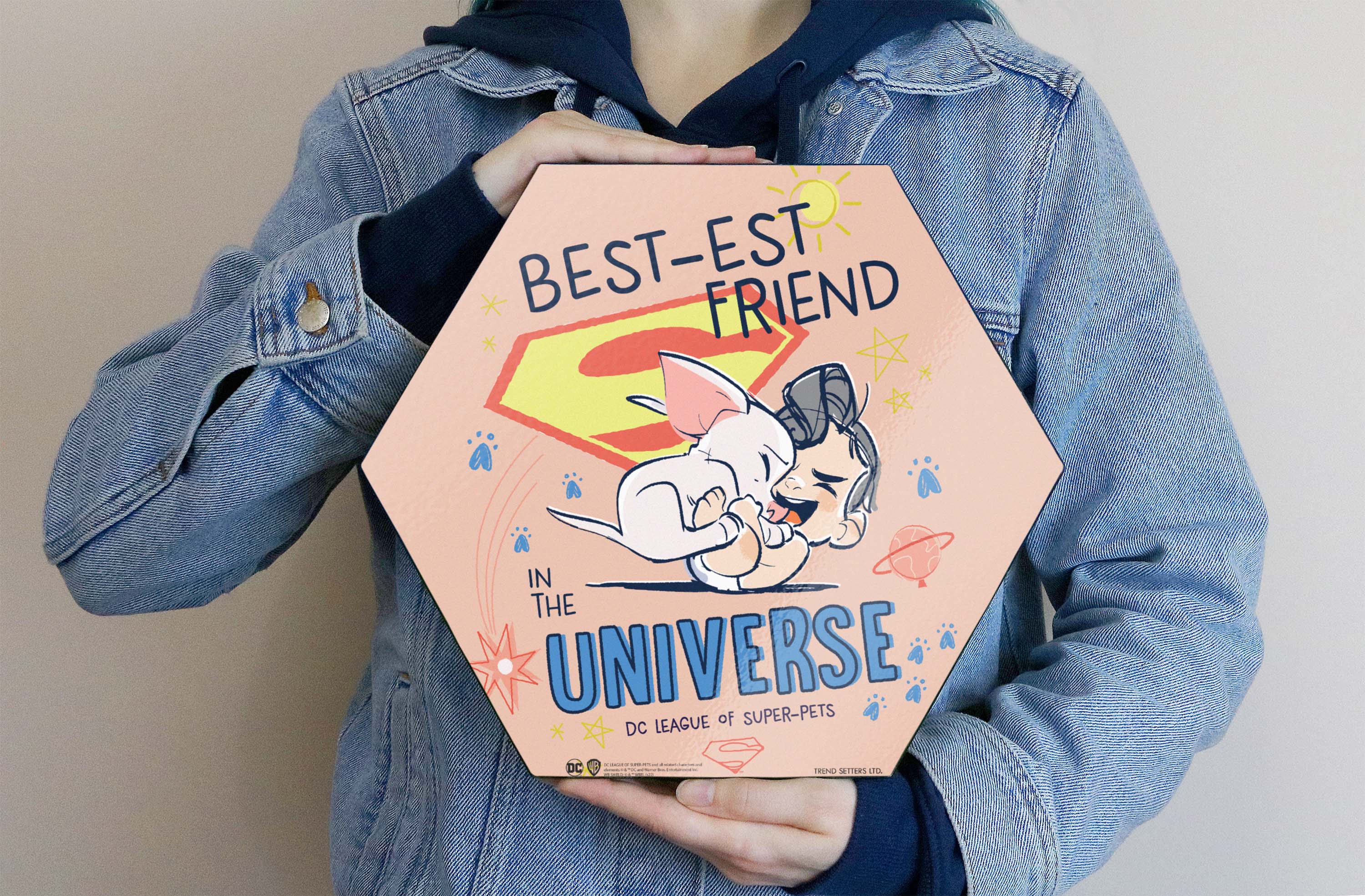 DC League of Super-Pets (Bestest Friend) KNEXAGON® Wood Print WPHEX3456