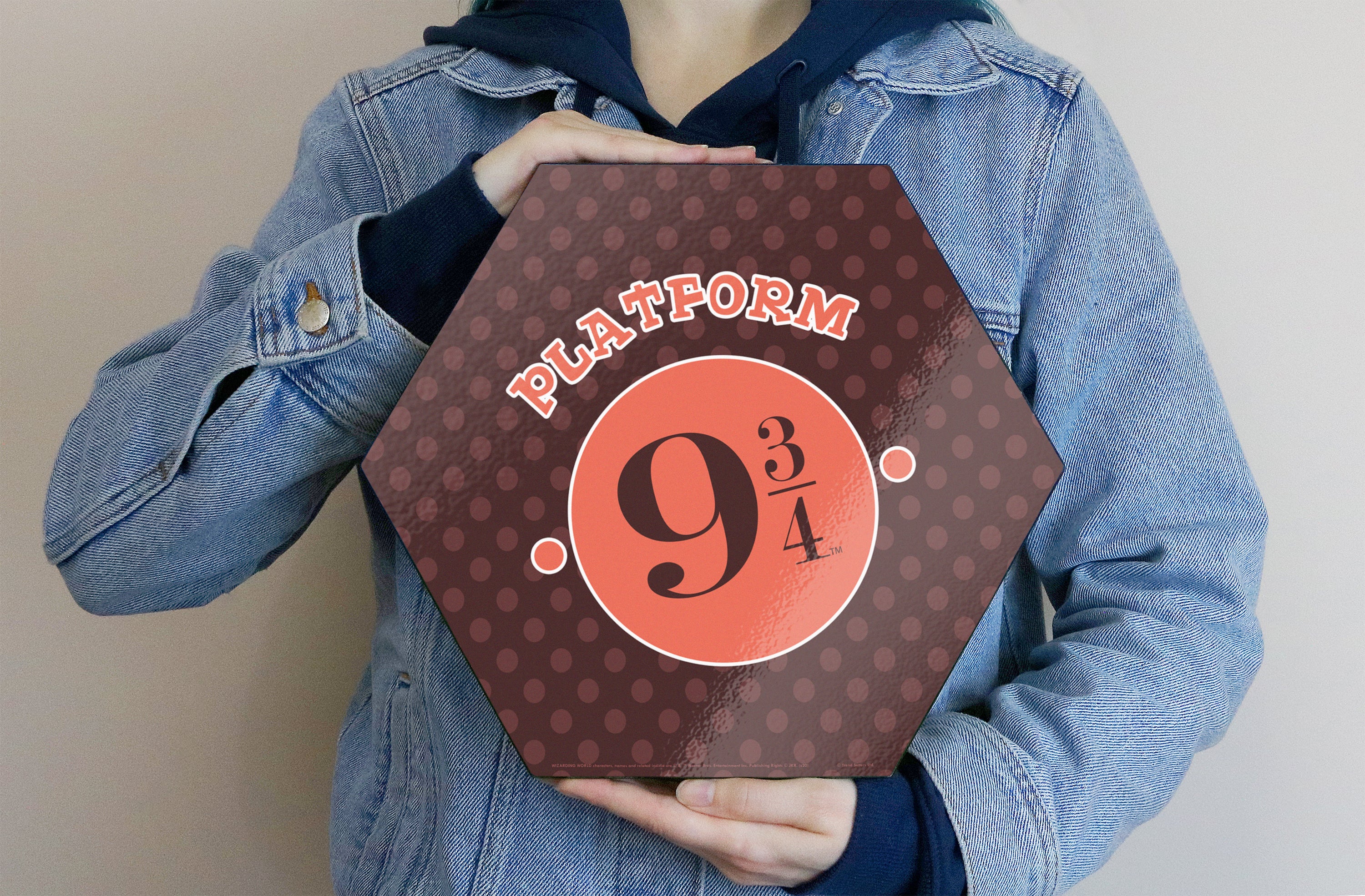 Harry Potter (Platform 9 ¾) KNEXAGON® Wood Print WPHEX3461HPCH