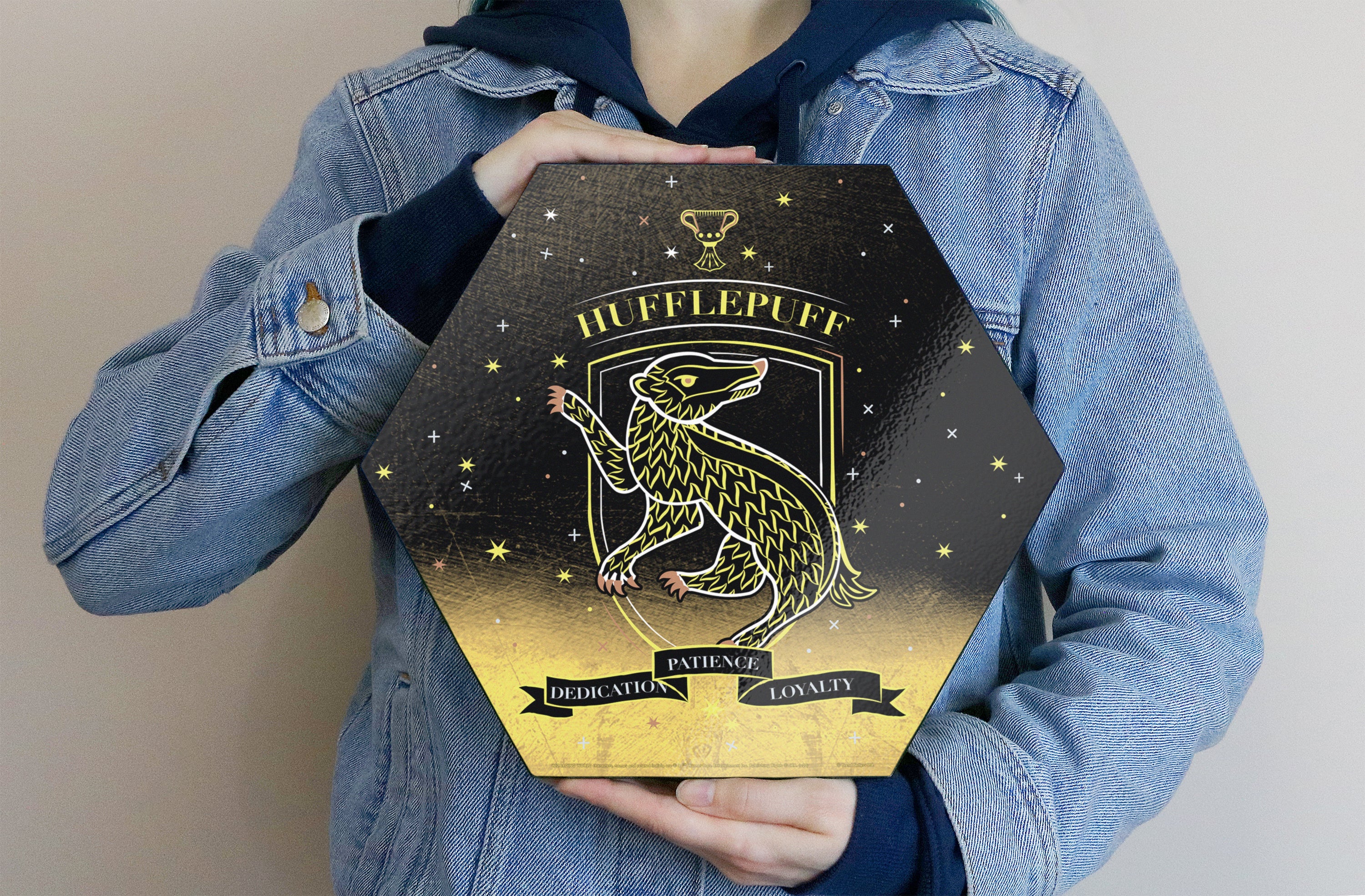 Harry Potter (Hufflepuff - Artifact Constellation) KNEXAGON® Wood Print WPHEX3515HPAR