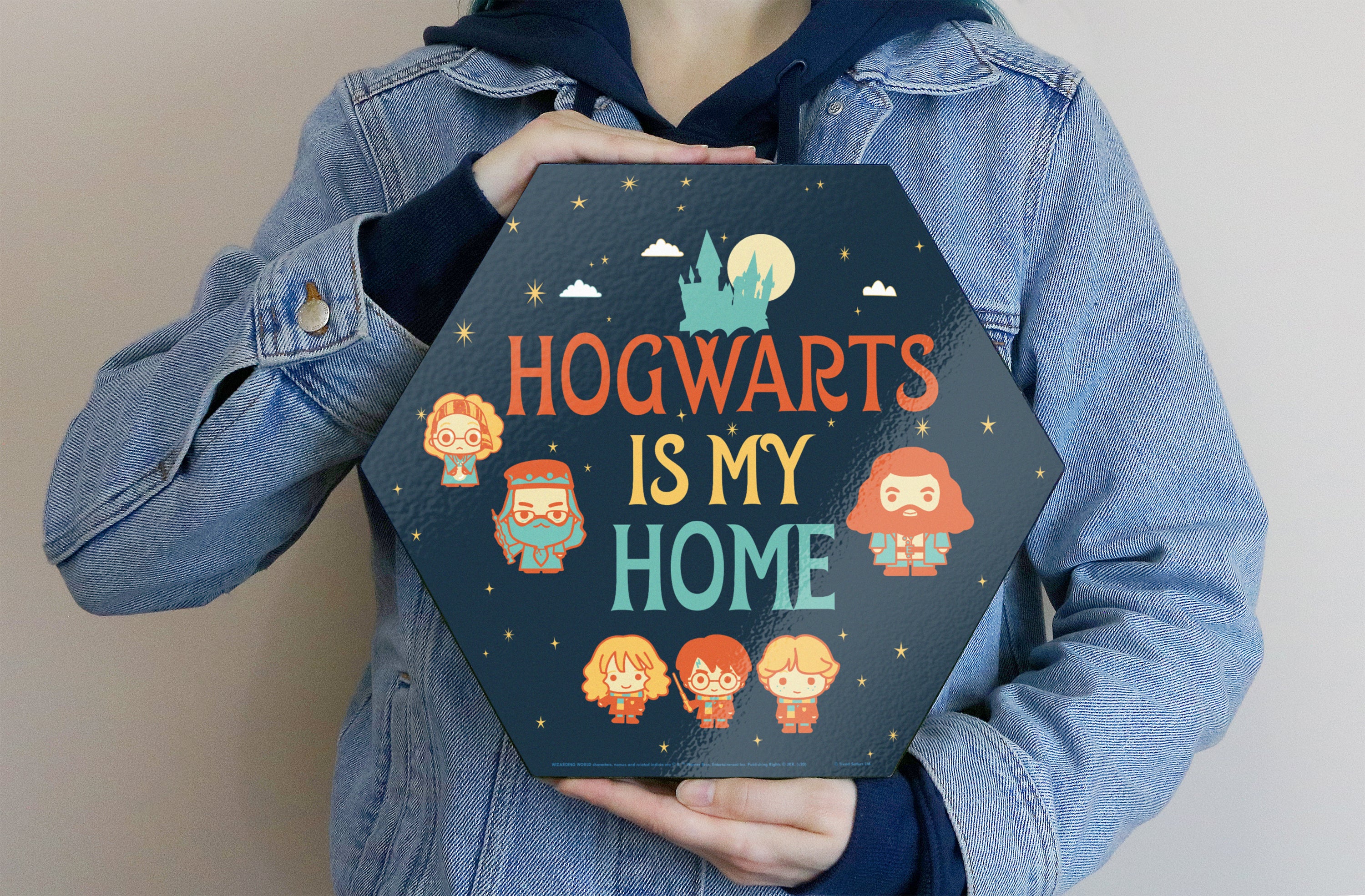 Harry Potter (Hogwarts Is My Home) KNEXAGON® Wood Print WPHEX3605HPCH