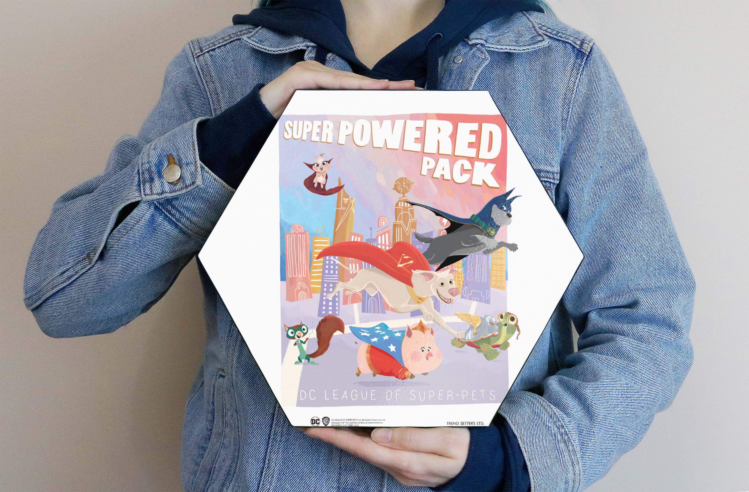 DC League of Super-Pets (Super Power Pack) KNEXAGON® Wood Print WPHEX3812