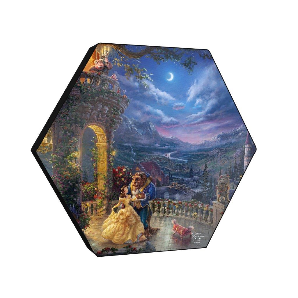 Disney (Beauty and the Beast Dancing in the Moonlight) KNEXAGON™ Wood Print WPHEX3875