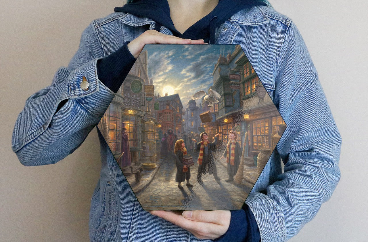 Harry Potter™ Thomas Kinkade Studios (Diagon Alley™) Knexagon Wall Art WPHEX4137