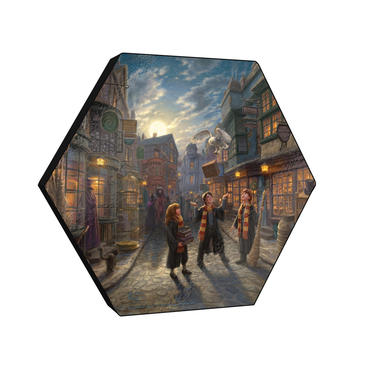 Harry Potter™ Thomas Kinkade Studios (Diagon Alley™) Knexagon Wall Art WPHEX4137