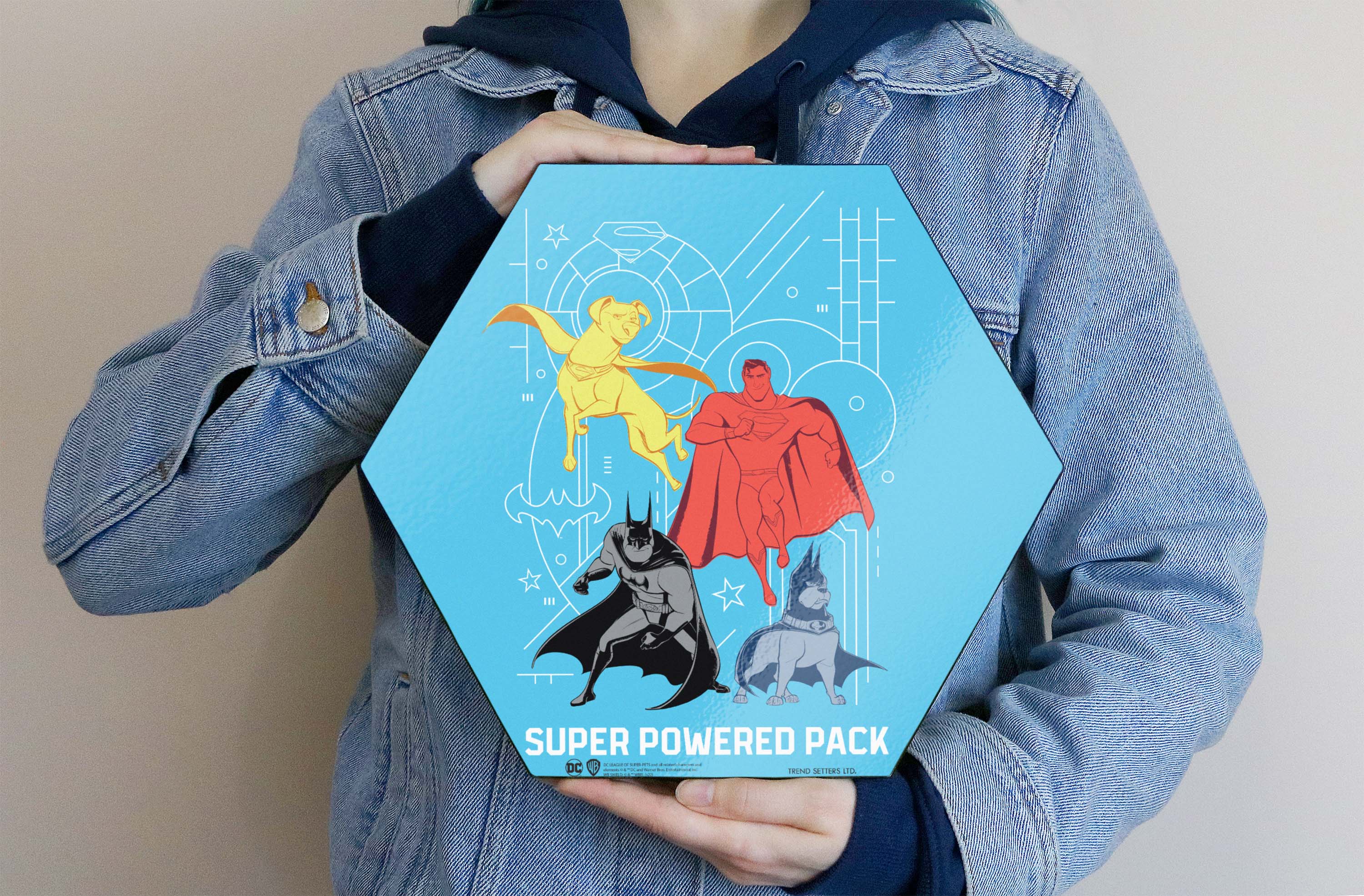 DC League of Super-Pets (Super Powered Squad) KNEXAGON® Wood Print WPHEX4181