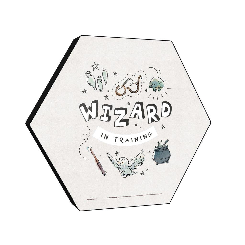 Harry Potter (Charming Vintage Wizard in Training) KNEXAGON® Wood Print WPHEX4250CHVN