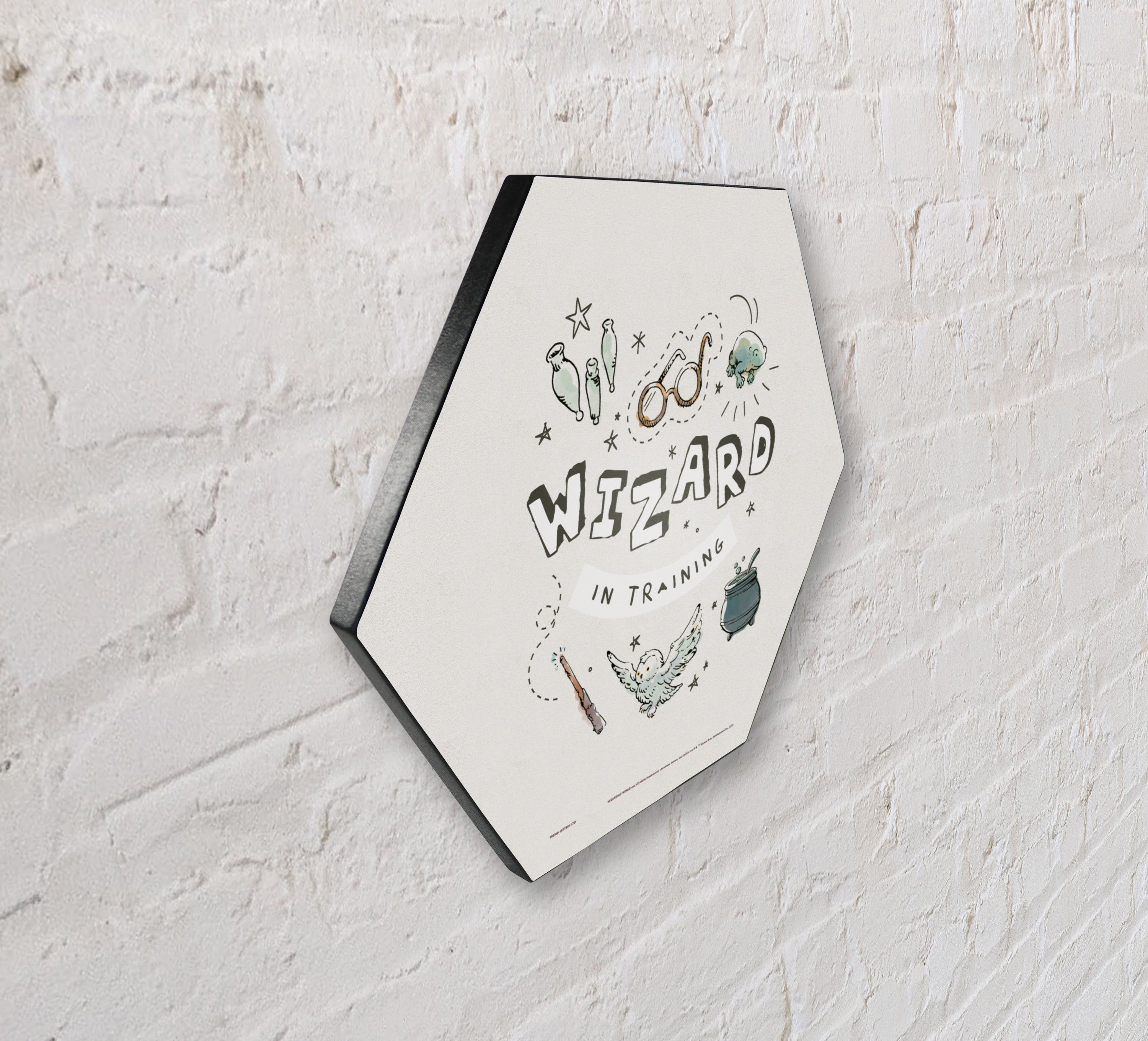 Harry Potter (Charming Vintage Wizard in Training) KNEXAGON® Wood Print WPHEX4250CHVN