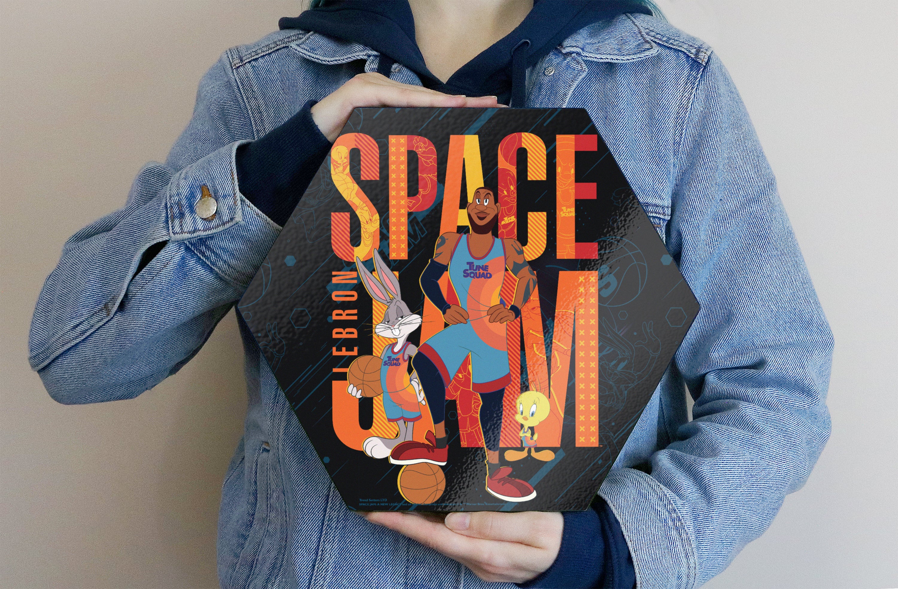 Space Jam: A New Legacy (Welcome To The Jam - Lebron) KNEXAGON® Wood Print WPHEX4541SJWJ