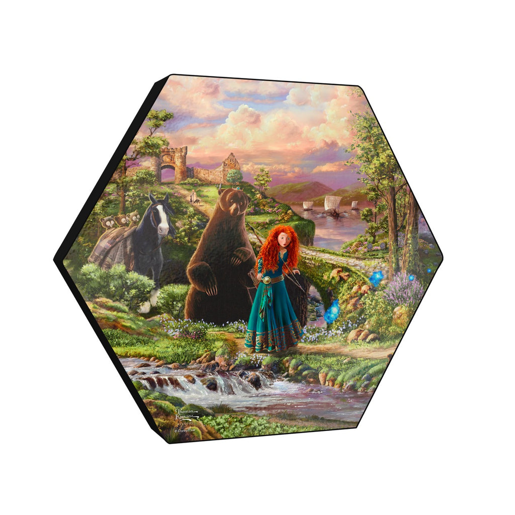 Disney (Brave) KNEXAGON® Wood Print WPHEX4599