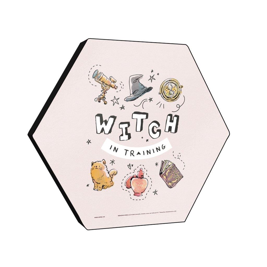 Harry Potter (Charming Vintage Witch in Training) KNEXAGON® Wood Print WPHEX4976CHVN