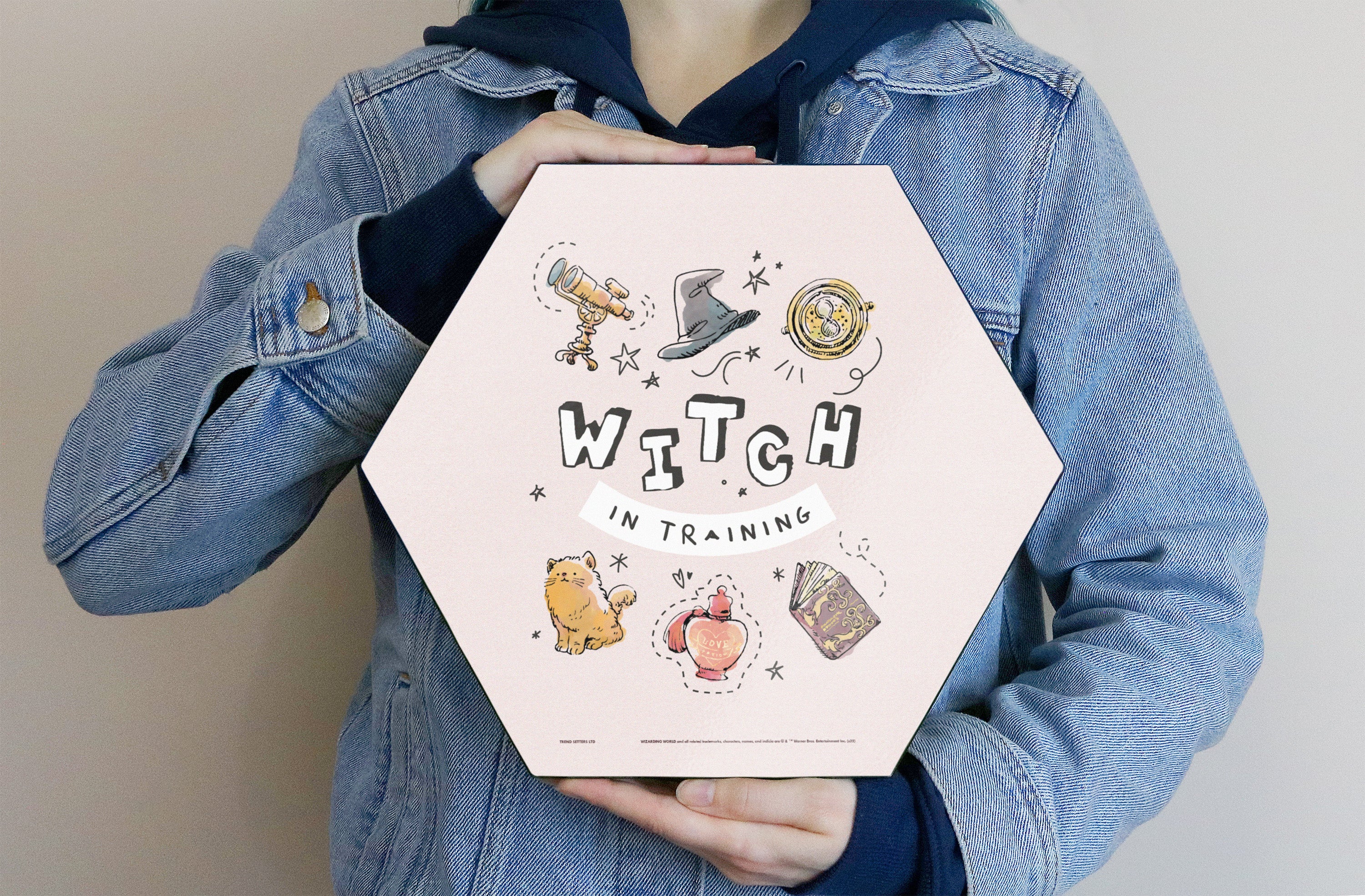 Harry Potter (Charming Vintage Witch in Training) KNEXAGON® Wood Print WPHEX4976CHVN