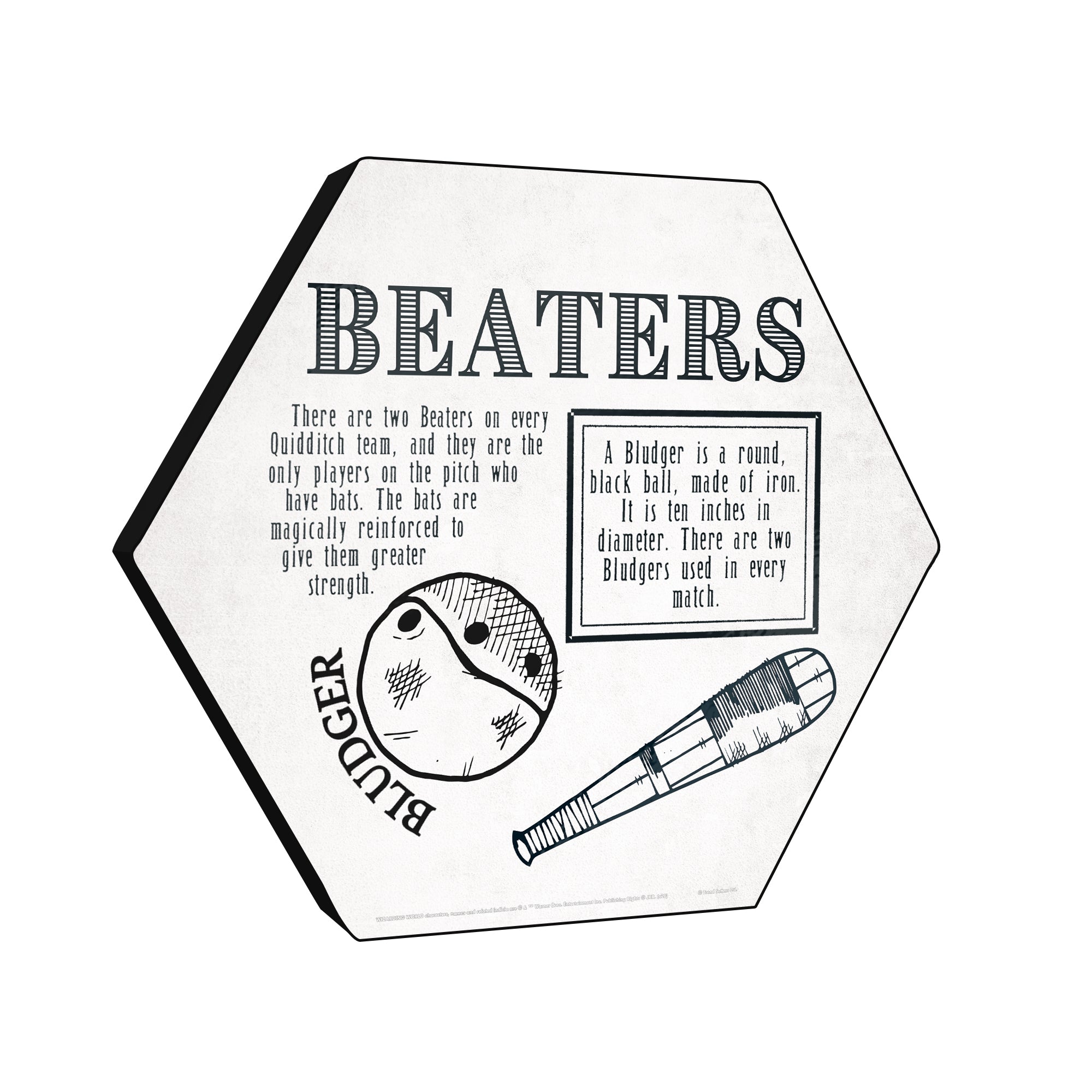 Harry Potter (Quidditch - Beaters) KNEXAGON® Wood Print WPHEX5190HPQU