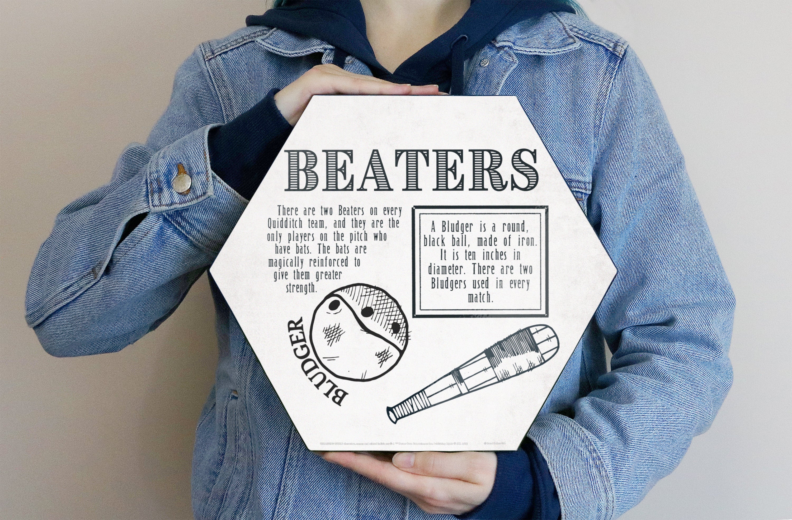 Harry Potter (Quidditch - Beaters) KNEXAGON® Wood Print WPHEX5190HPQU