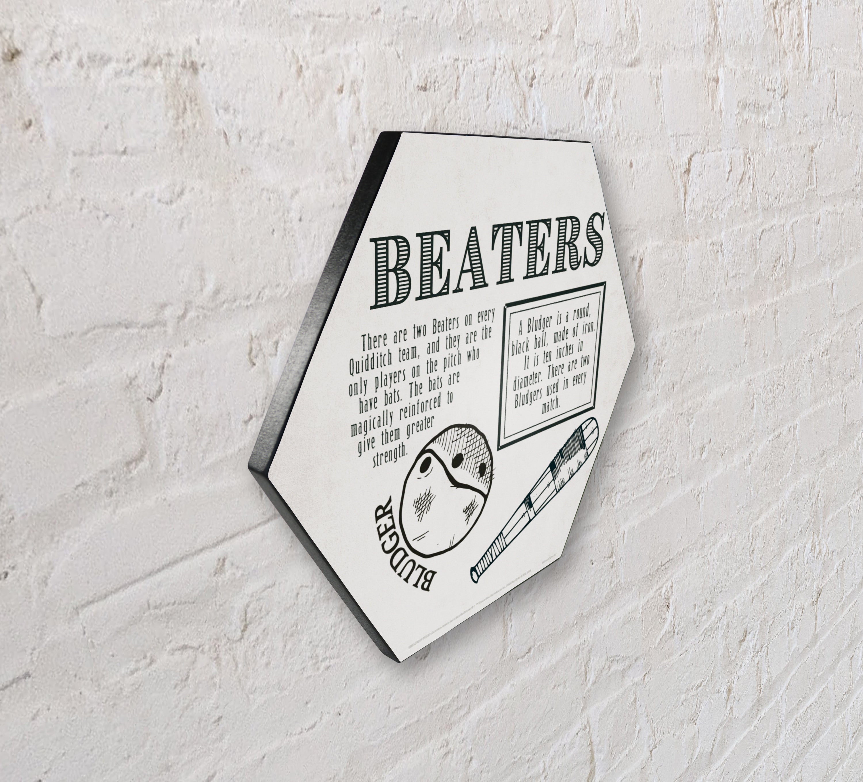 Harry Potter (Quidditch - Beaters) KNEXAGON® Wood Print WPHEX5190HPQU