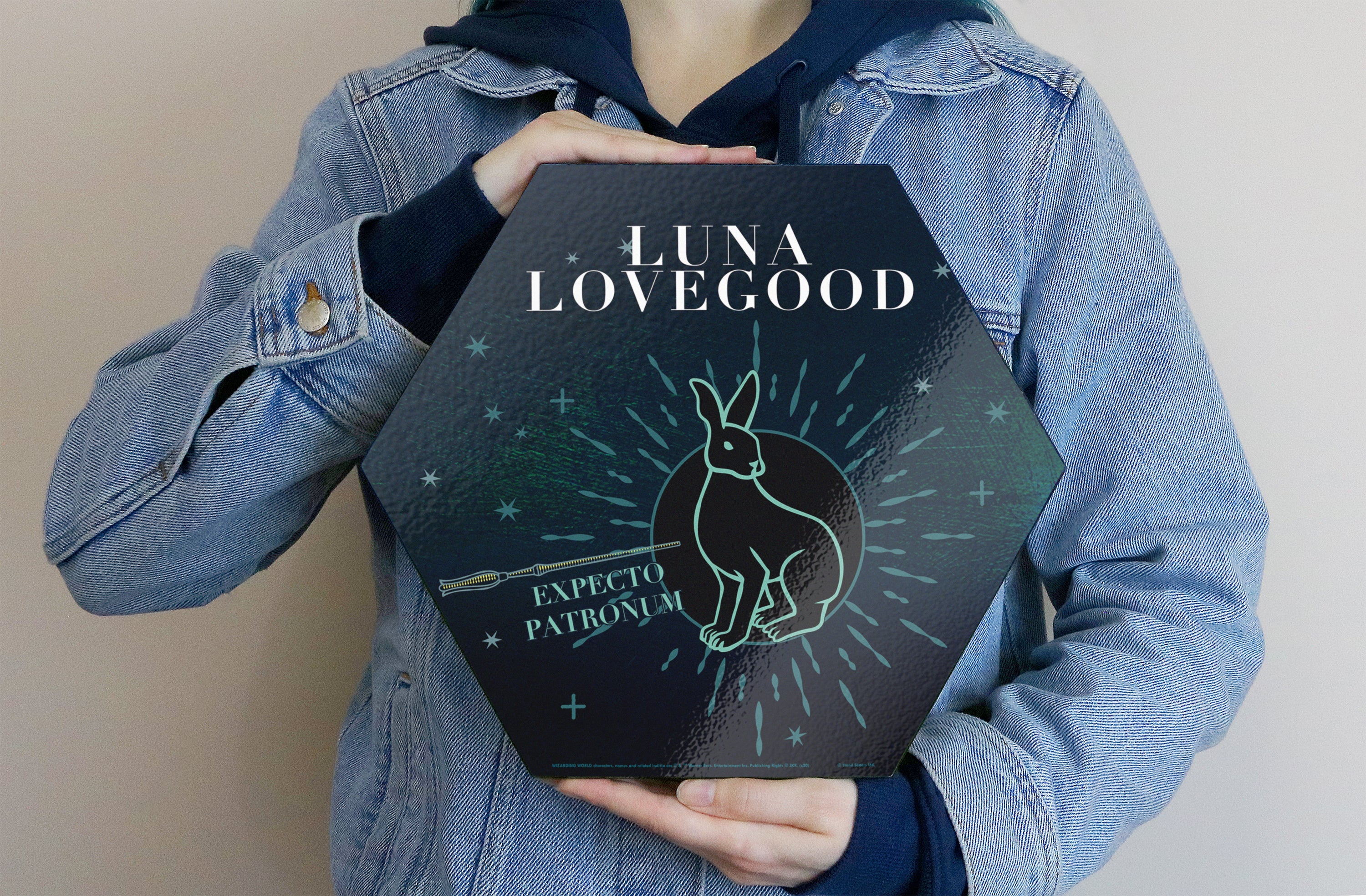 Harry Potter (Patronus - Luna Lovegood) KNEXAGON® Wood Print WPHEX5293HPAR