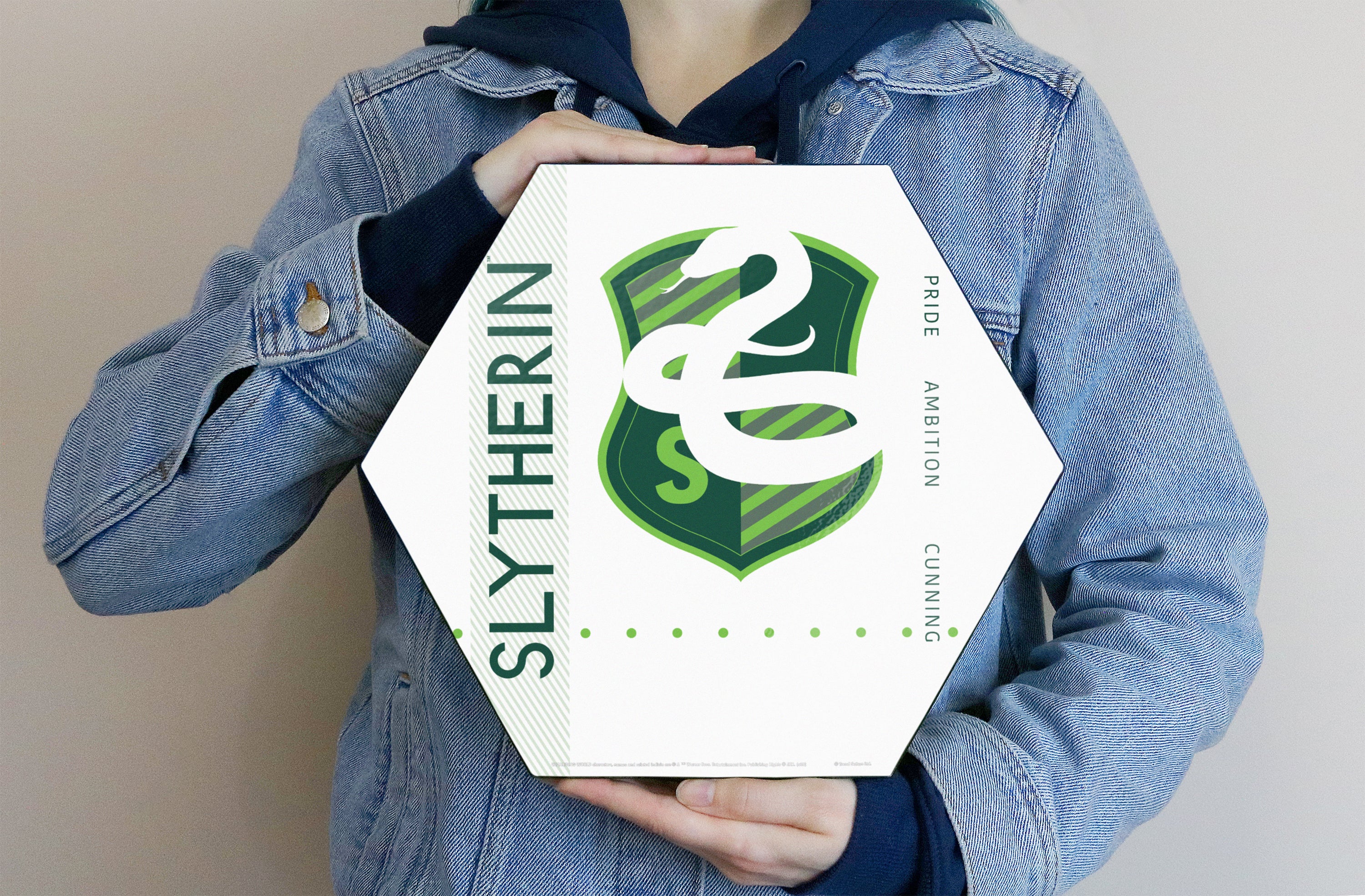 Harry Potter (Slytherin Shield) KNEXAGON® Wood Print WPHEX5295HPSH