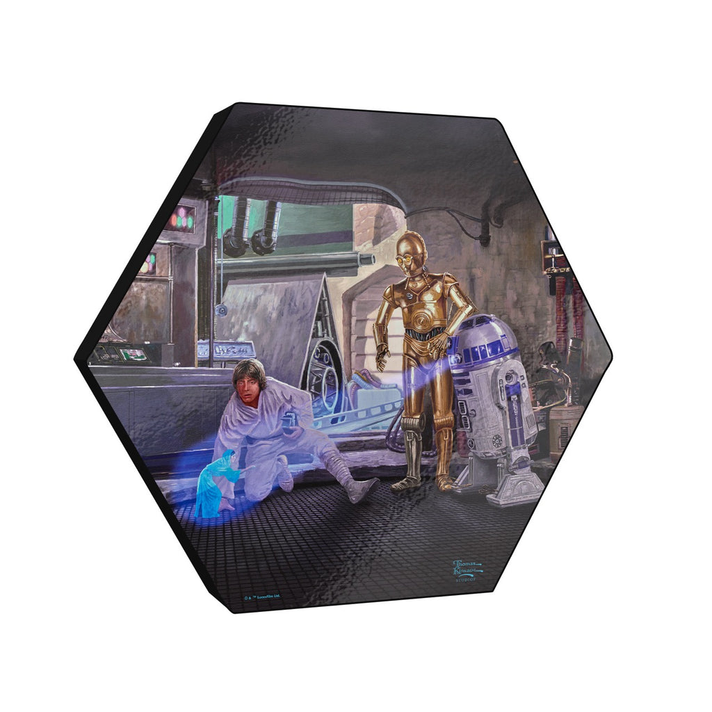 Star Wars (You're My Only Hope) KNEXAGON® Wood Print WPHEX5573