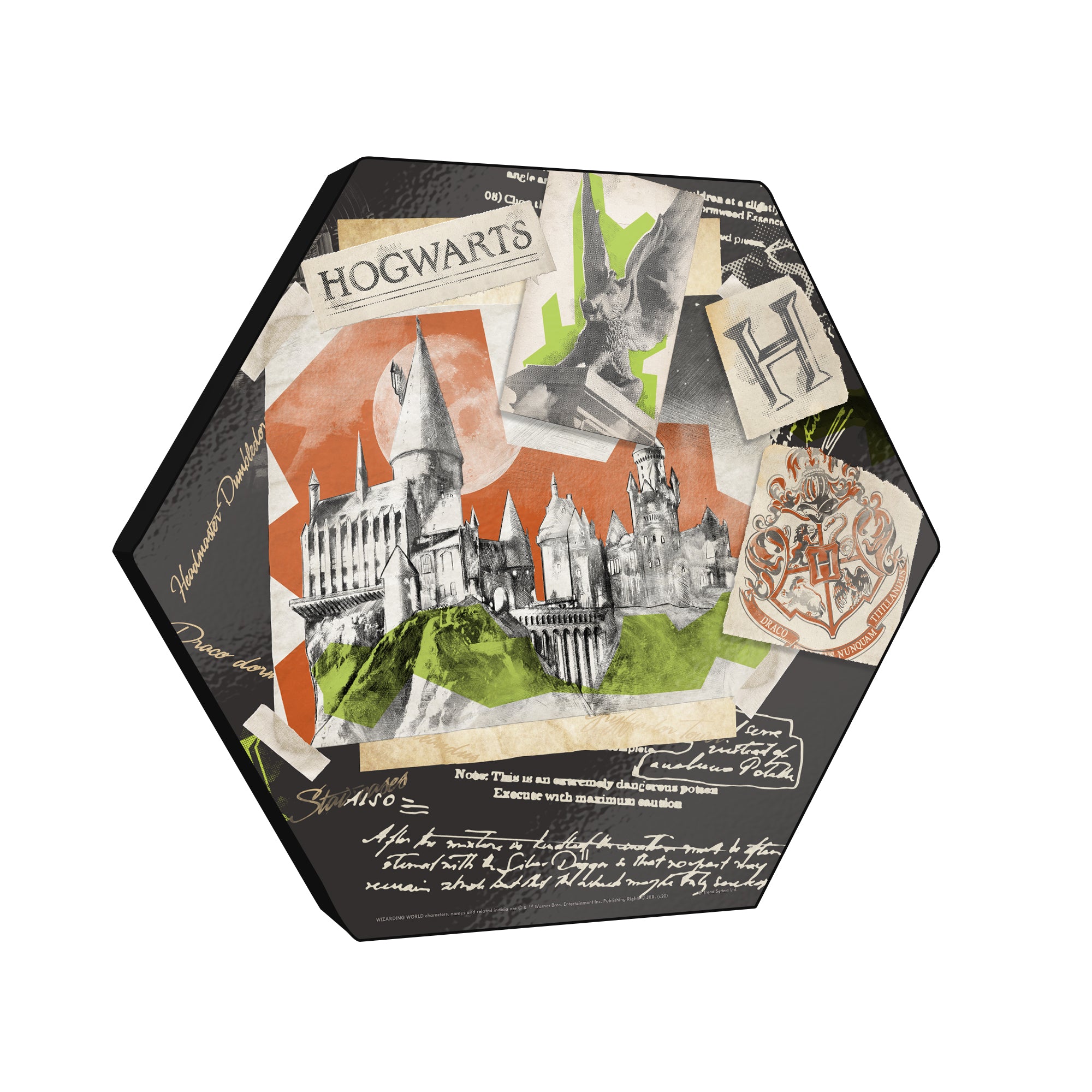 Harry Potter (Hogwarts Collage) KNEXAGON® Wood Print WPHEX5961HPPL