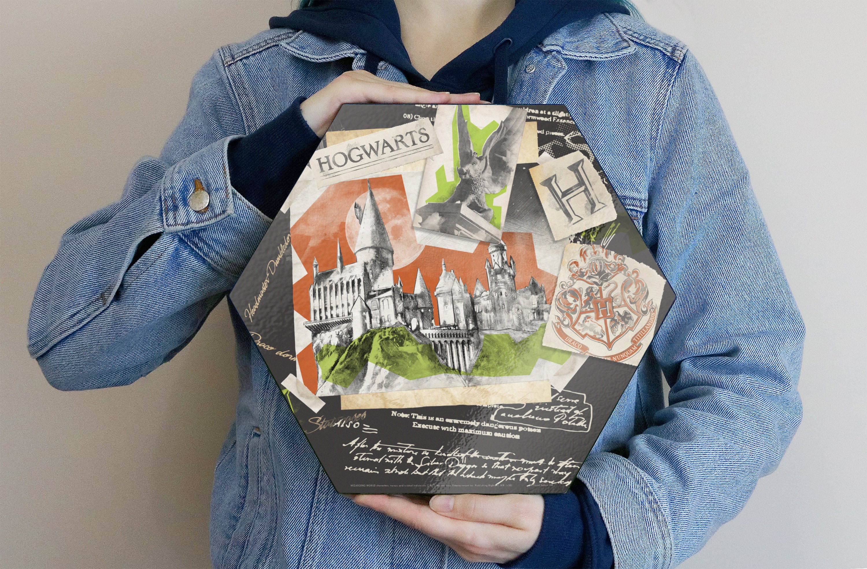 Harry Potter (Hogwarts Collage) KNEXAGON® Wood Print WPHEX5961HPPL