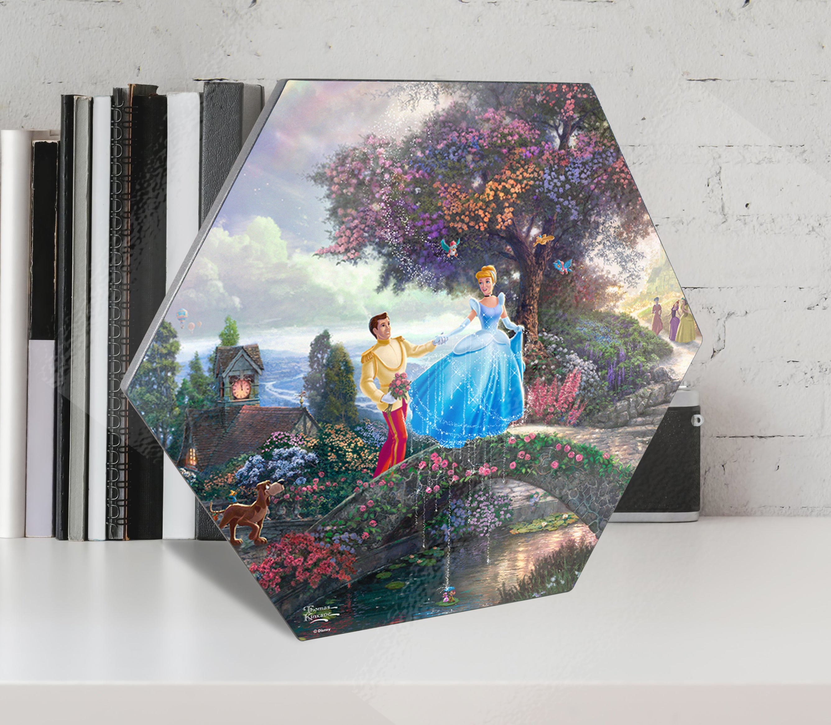 Disney (Cinderella Wishes Upon a Dream) KNEXAGON® Wood Print WPHEX6025