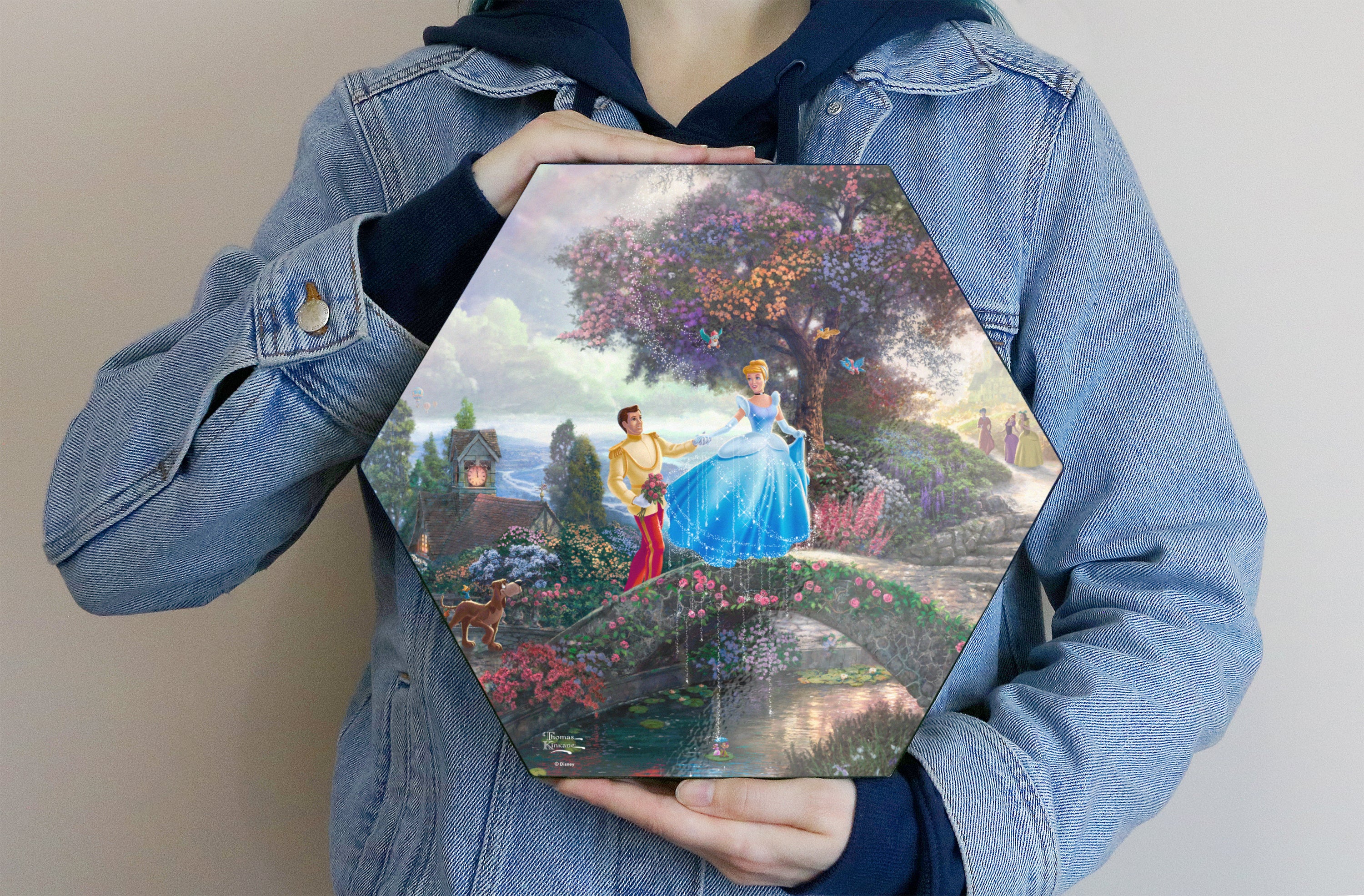 Disney (Cinderella Wishes Upon a Dream) KNEXAGON® Wood Print WPHEX6025