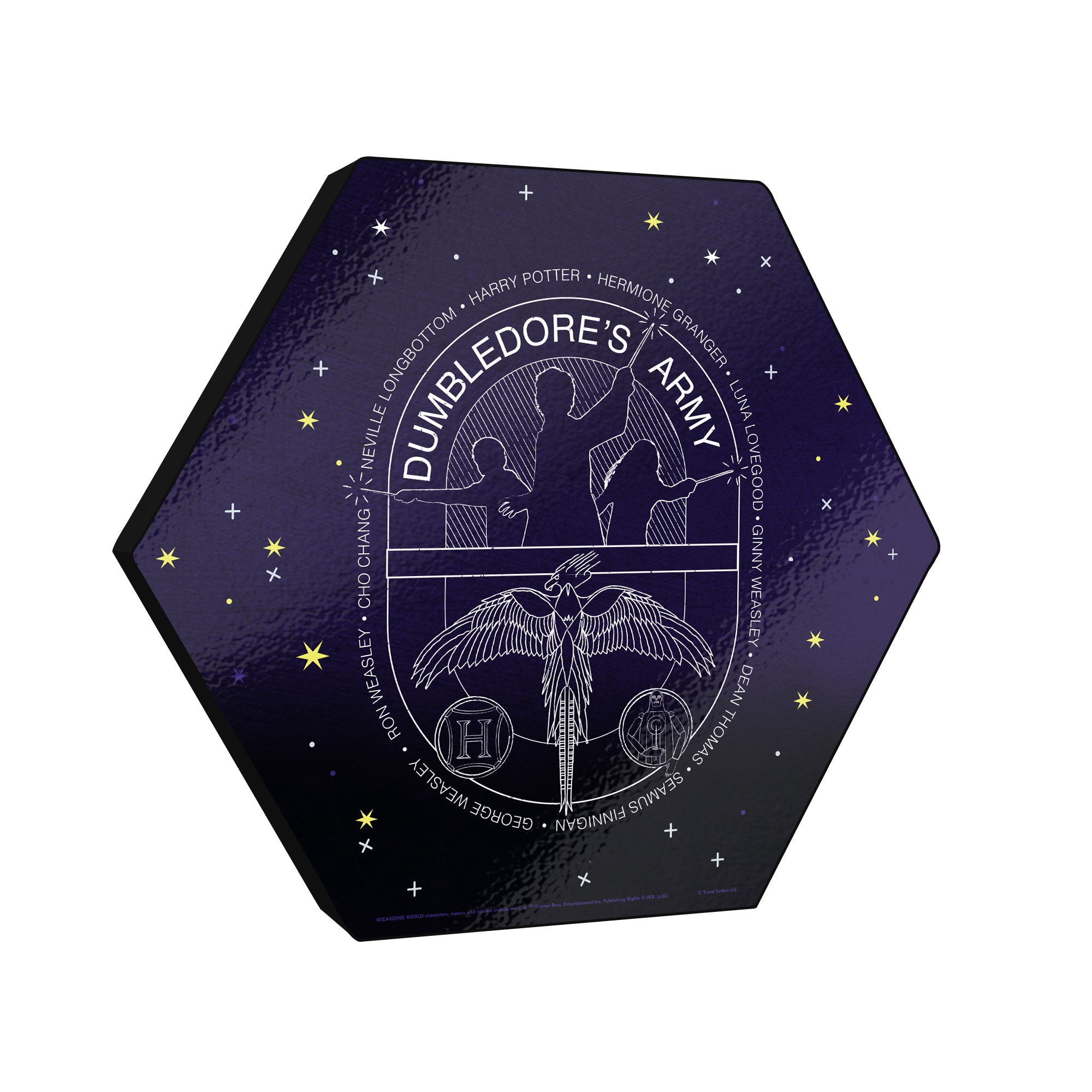 Harry Potter (Dumbledores Army - Artifact Constellation) KNEXAGON® Wood Print WPHEX6044HPAR