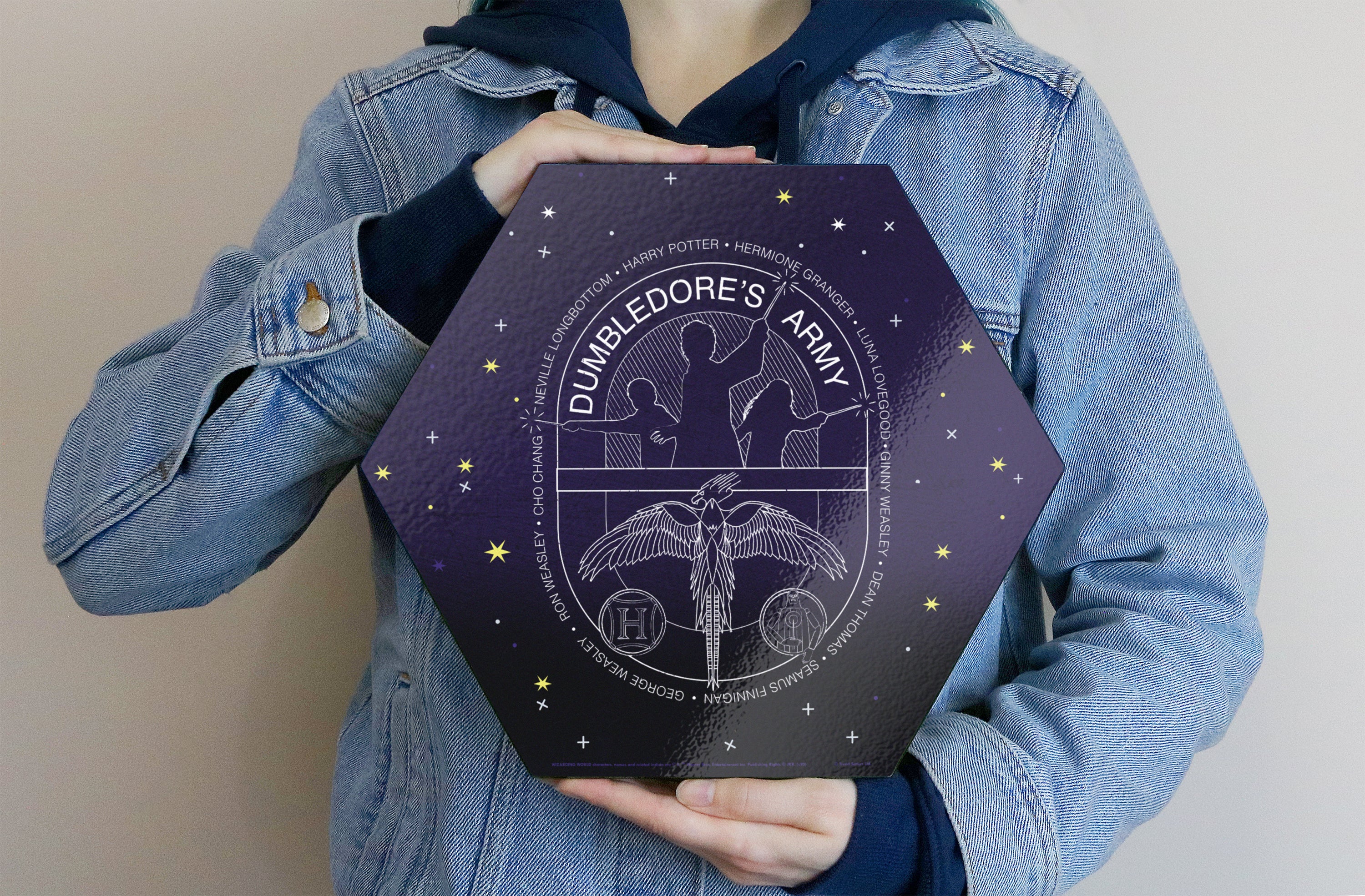 Harry Potter (Dumbledores Army - Artifact Constellation) KNEXAGON® Wood Print WPHEX6044HPAR