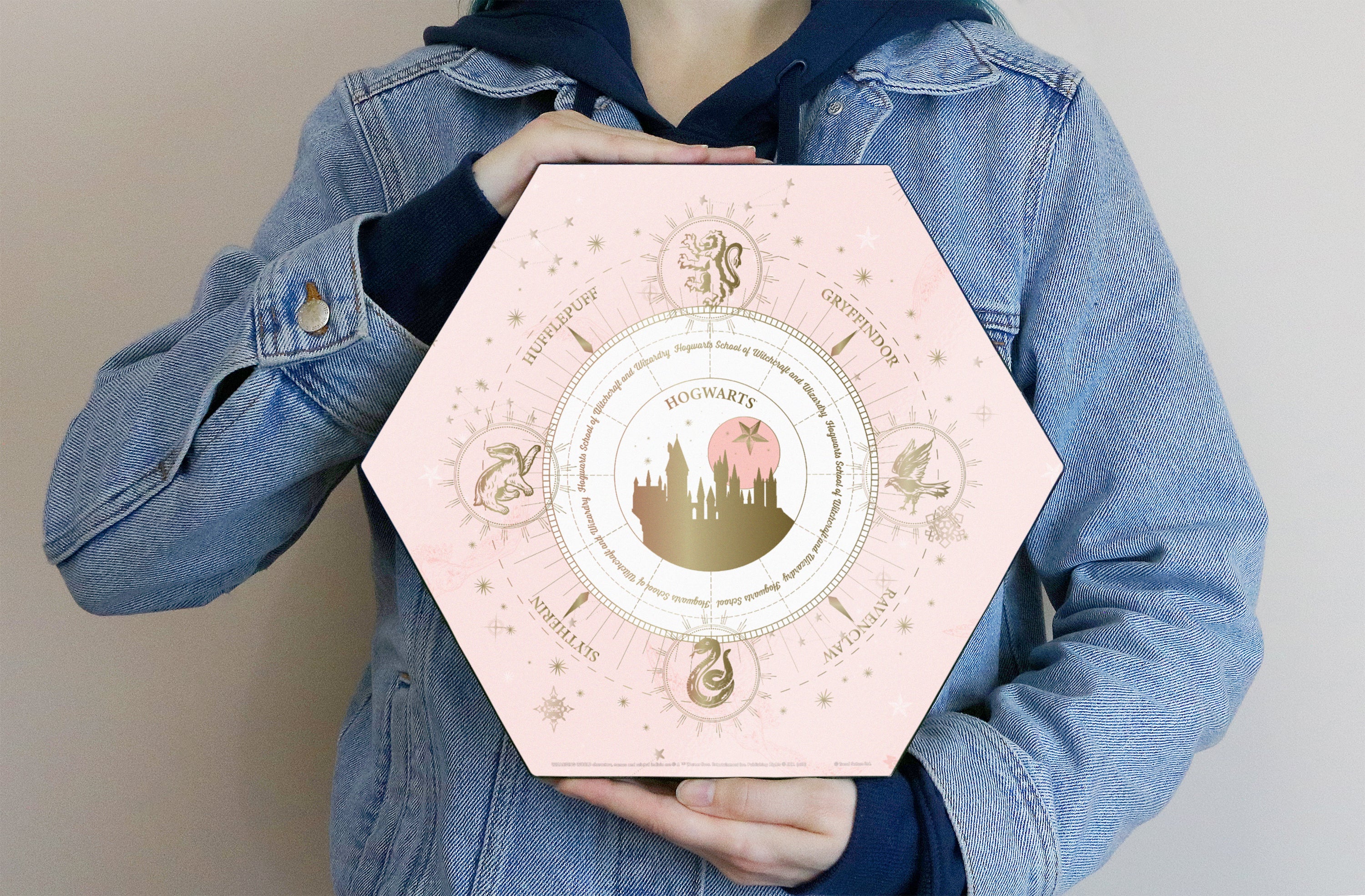 Harry Potter (Constellation - Hogwarts) KNEXAGON® Wood Print WPHEX6311HPCS