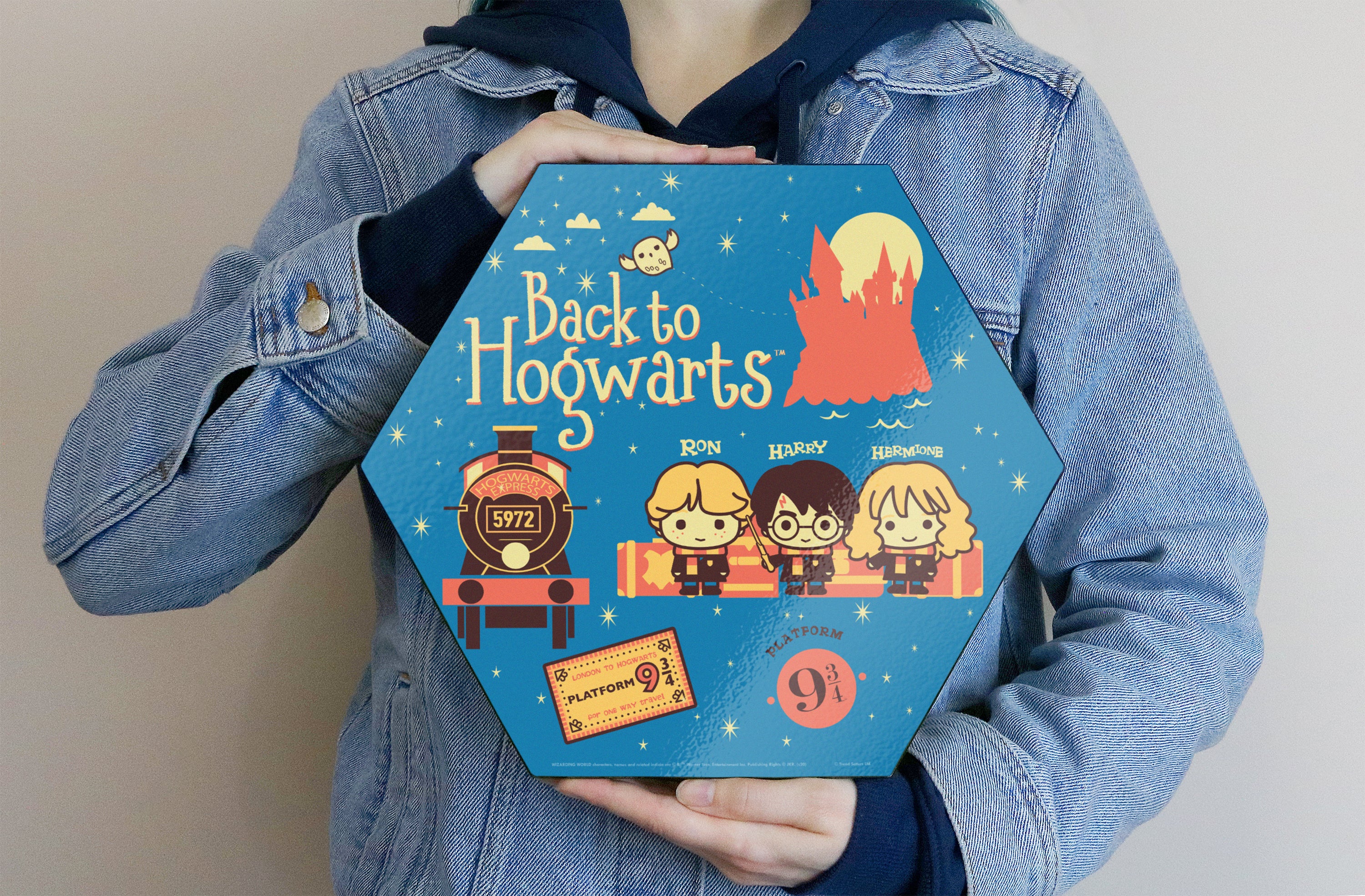 Harry Potter (Back To Hogwarts) KNEXAGON® Wood Print WPHEX6599HPCH