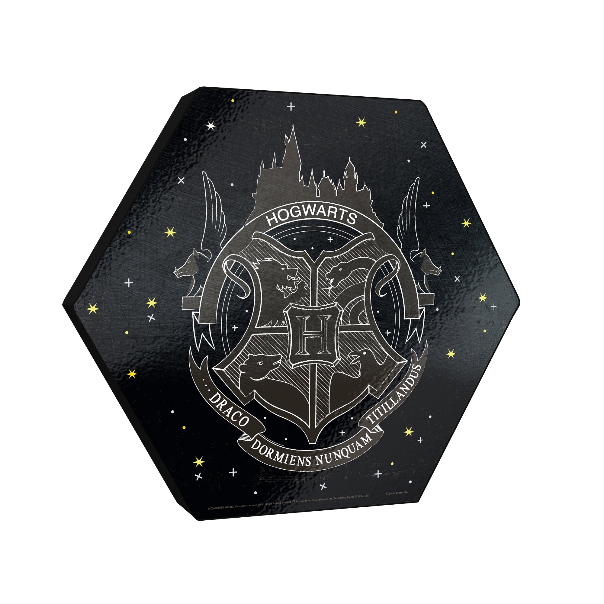 Harry Potter (Hogwarts Emblem - Artifact Constellation) KNEXAGON® Wood Print WPHEX6798HPAR