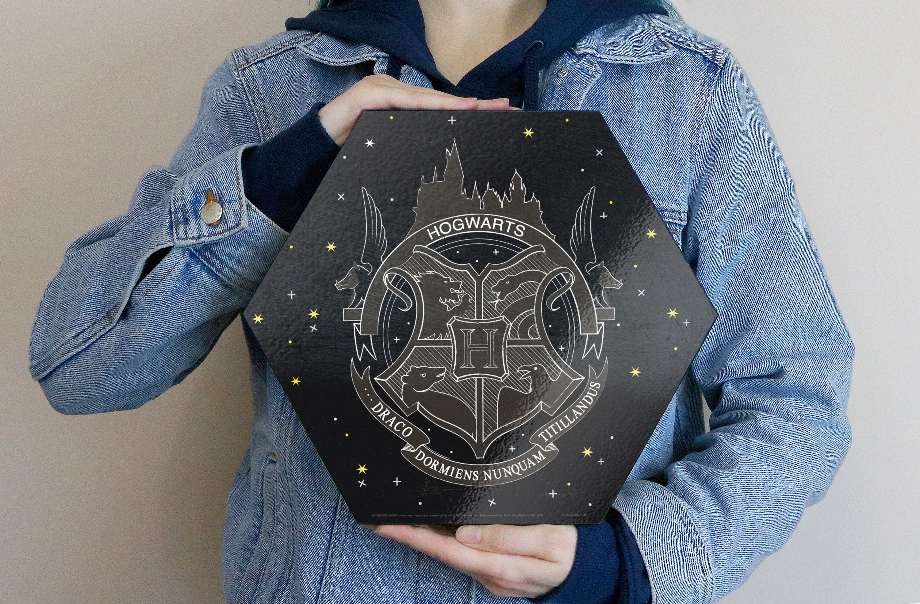 Harry Potter (Hogwarts Emblem - Artifact Constellation) KNEXAGON® Wood Print WPHEX6798HPAR