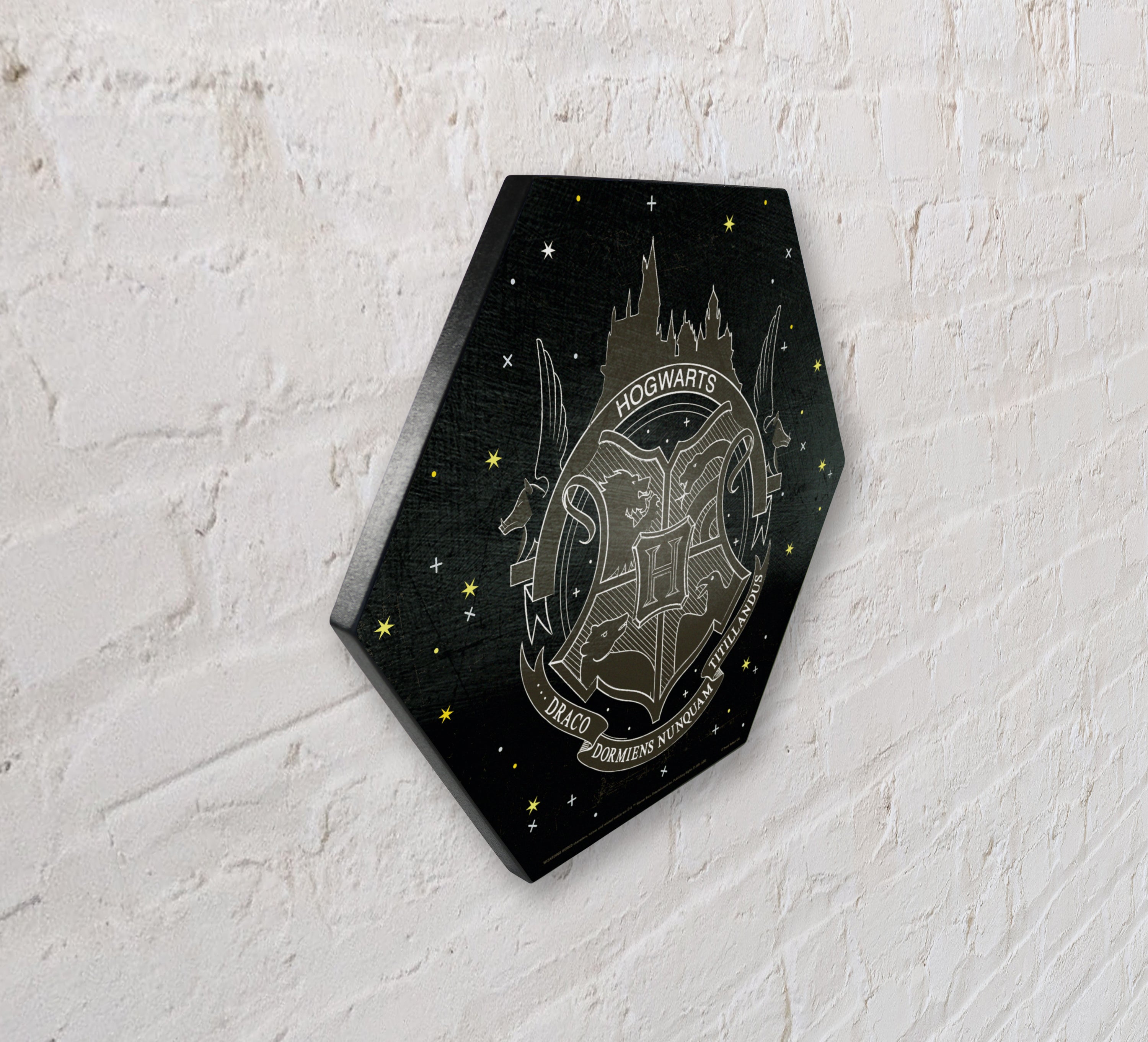 Harry Potter (Hogwarts Emblem - Artifact Constellation) KNEXAGON® Wood Print WPHEX6798HPAR