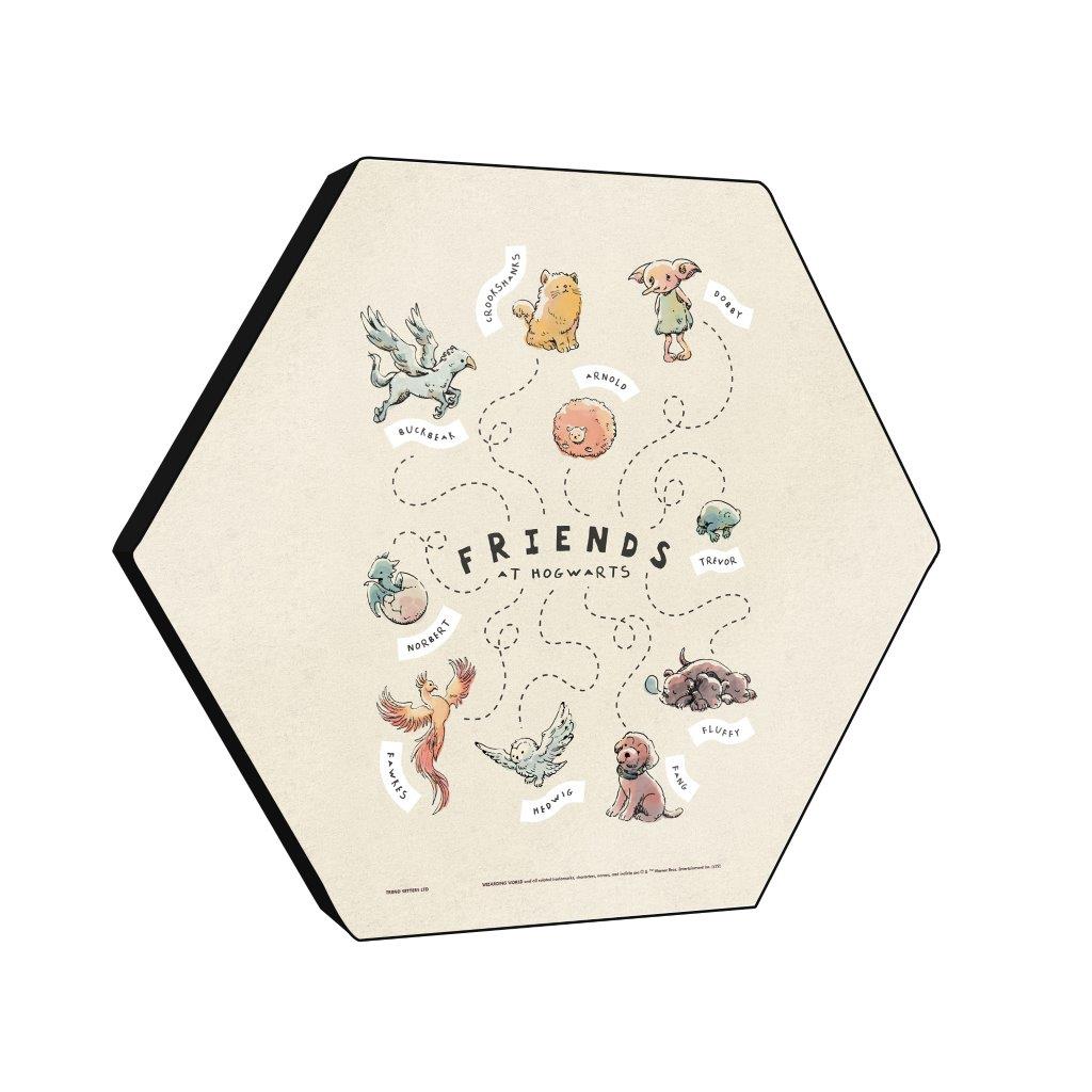 Harry Potter (Charming Vintage Friends) KNEXAGON® Wood Print WPHEX6895CHVN