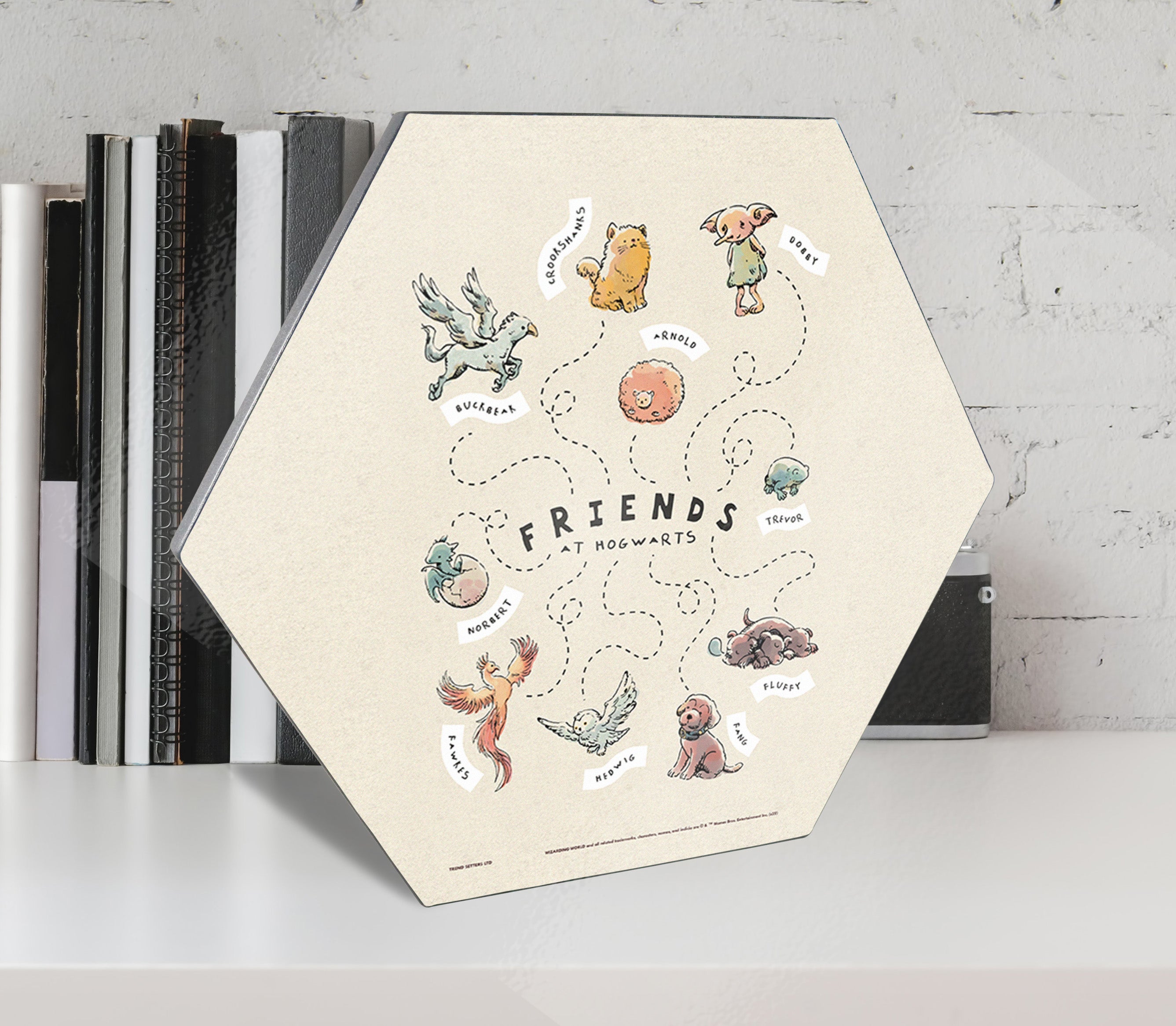 Harry Potter (Charming Vintage Friends) KNEXAGON® Wood Print WPHEX6895CHVN