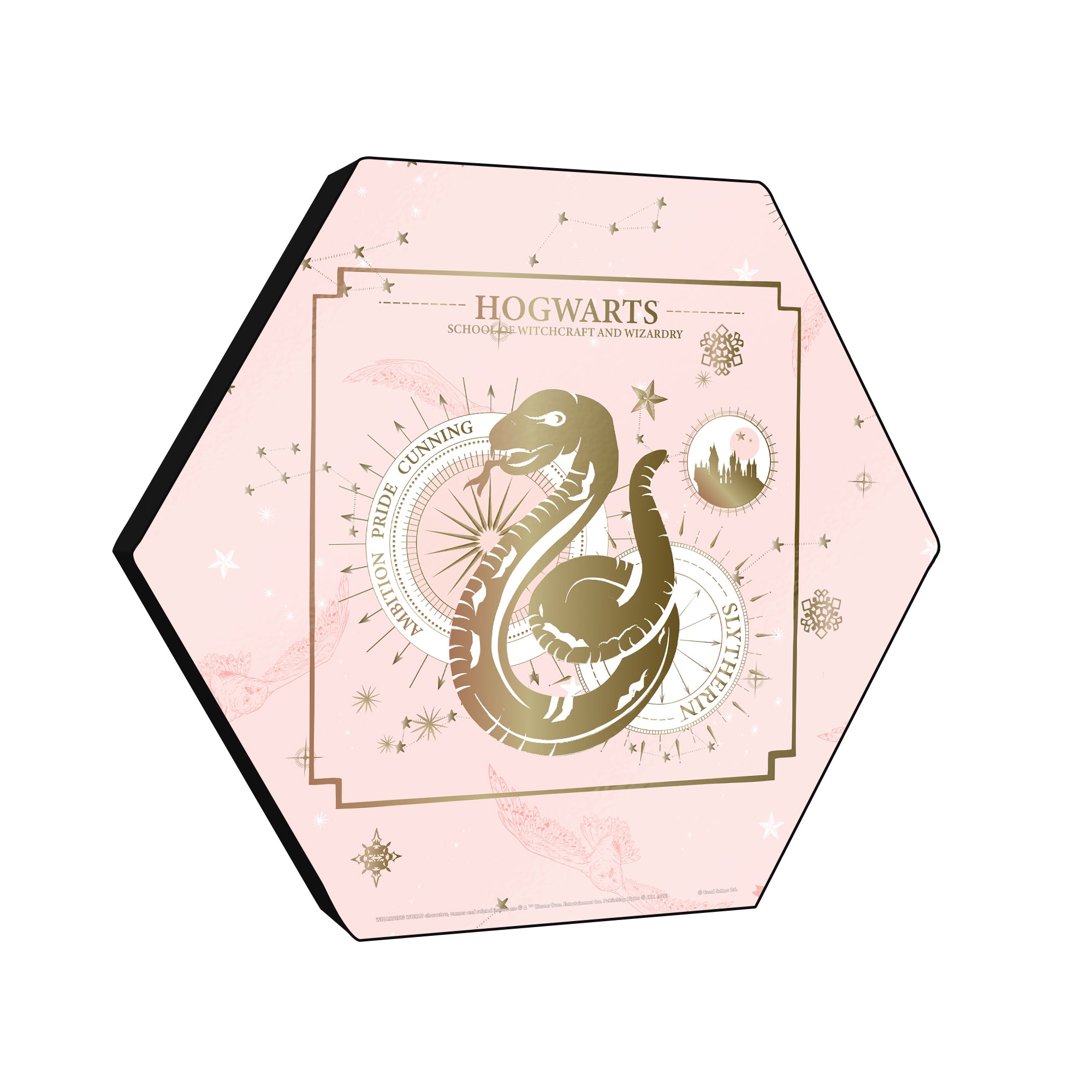 Harry Potter (Constellation - Slytherin) KNEXAGON® Wood Print WPHEX6933HPCS