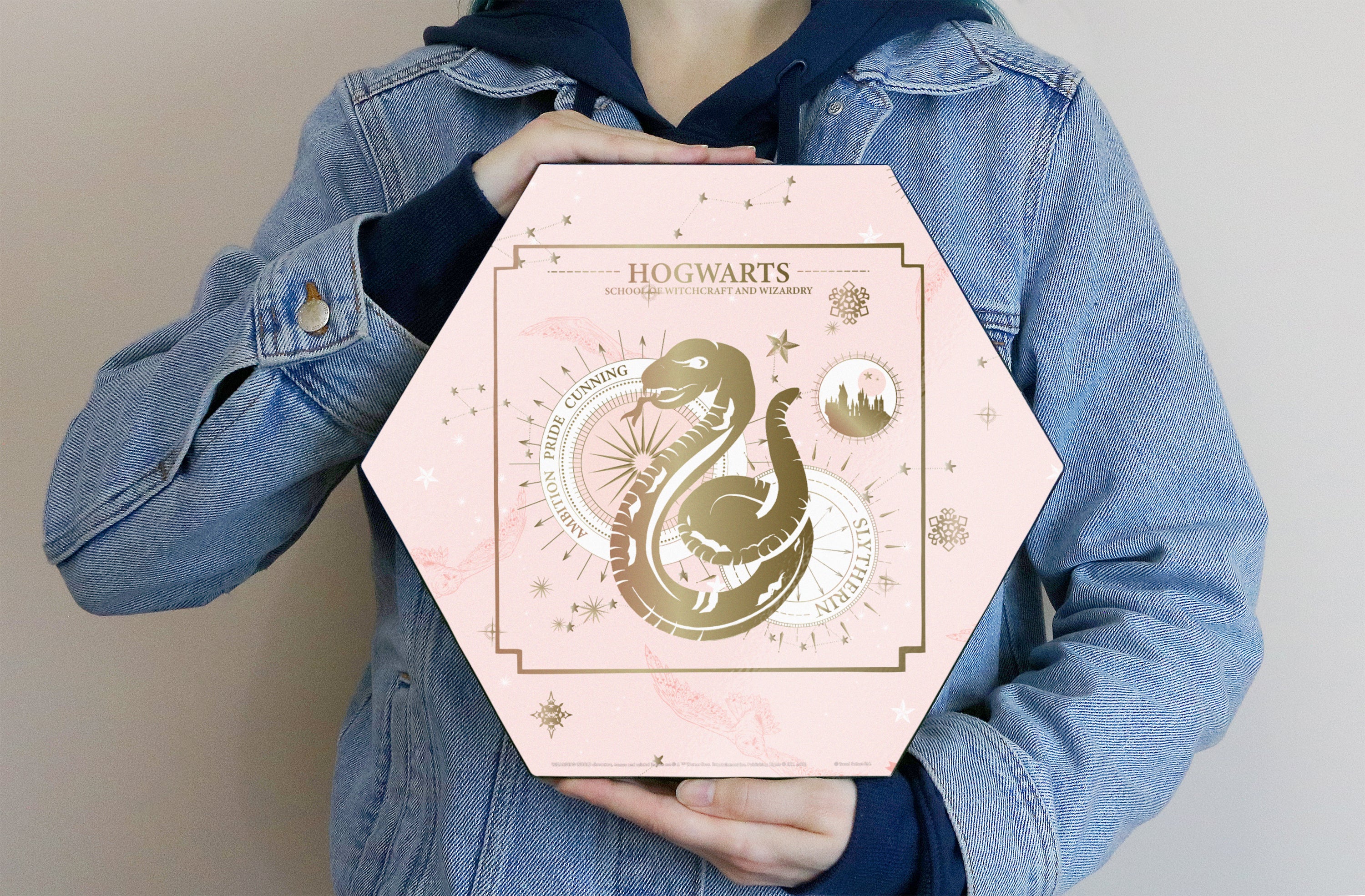 Harry Potter (Constellation - Slytherin) KNEXAGON® Wood Print WPHEX6933HPCS