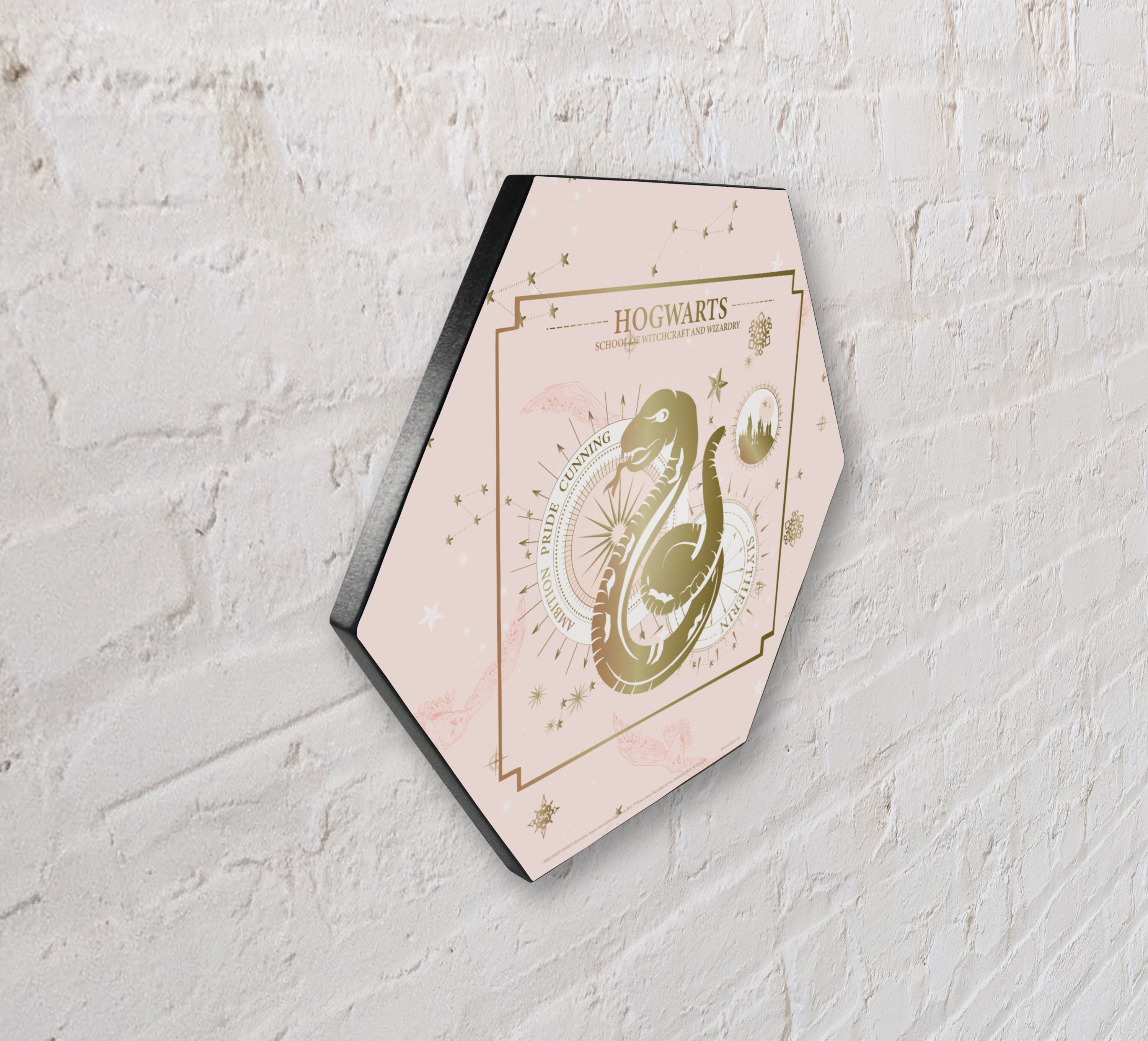 Harry Potter (Constellation - Slytherin) KNEXAGON® Wood Print WPHEX6933HPCS