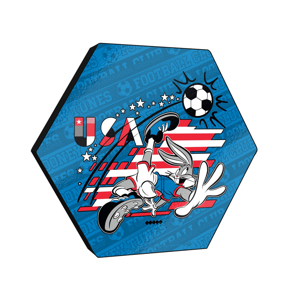 Looney Tunes (Team USA Soccer - Bugs Bunny) KNEXAGON® Wood Print WPHEX6966BOH