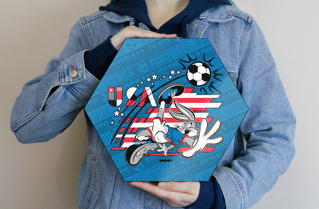 Looney Tunes (Team USA Soccer - Bugs Bunny) KNEXAGON® Wood Print WPHEX6966BOH