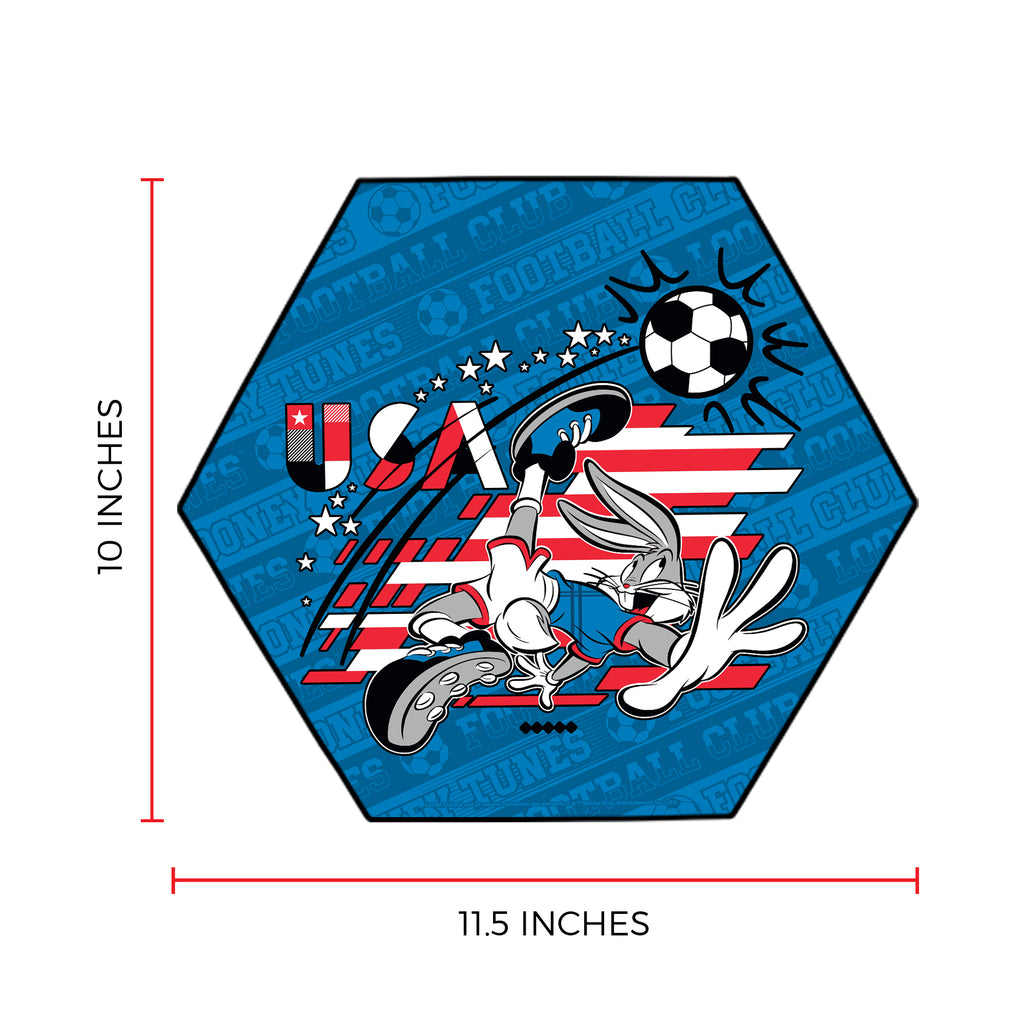 Looney Tunes (Team USA Soccer - Bugs Bunny) KNEXAGON® Wood Print WPHEX6966BOH