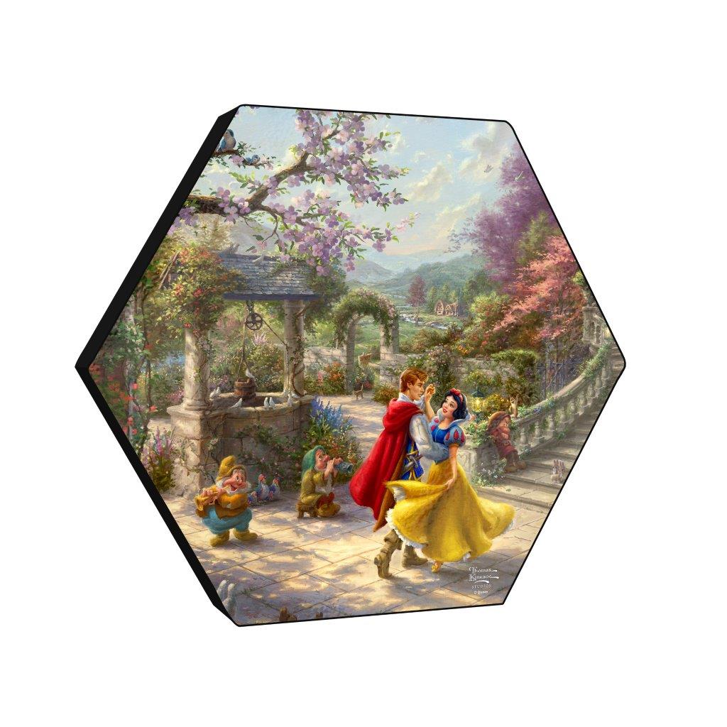 Disney (Snow White Dancing in the Sunlight) KNEXAGON™ Wood Print WPHEX7181