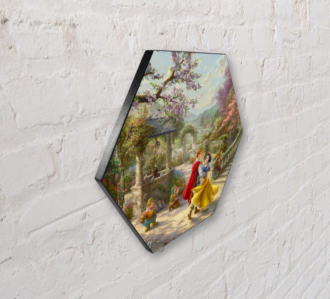 Disney (Snow White Dancing in the Sunlight) KNEXAGON™ Wood Print WPHEX7181