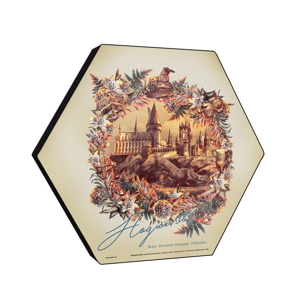 Harry Potter (Utilitarian Romance Hogwarts) KNEXAGON® Wood Print WPHEX7549UTROM