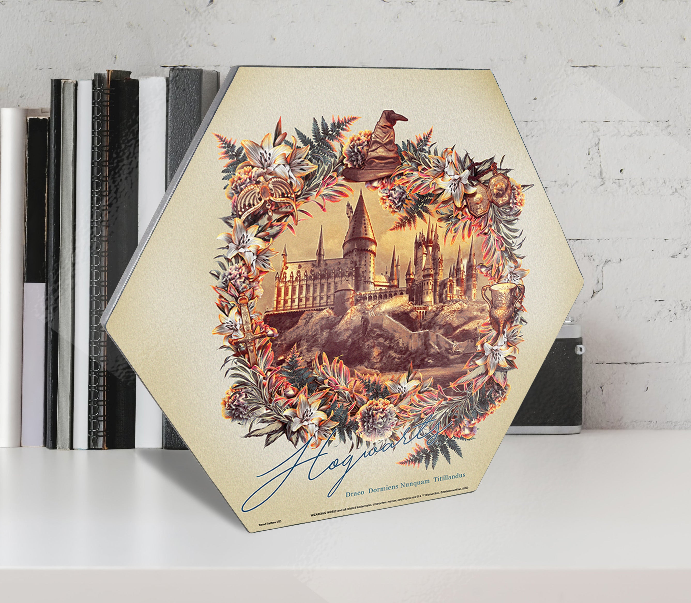 Harry Potter (Utilitarian Romance Hogwarts) KNEXAGON® Wood Print WPHEX7549UTROM
