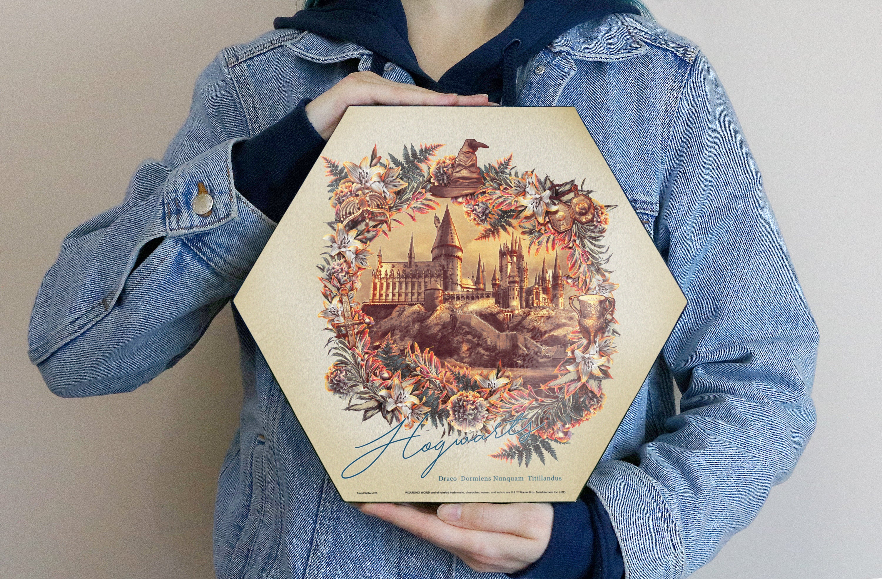 Harry Potter (Utilitarian Romance Hogwarts) KNEXAGON® Wood Print WPHEX7549UTROM