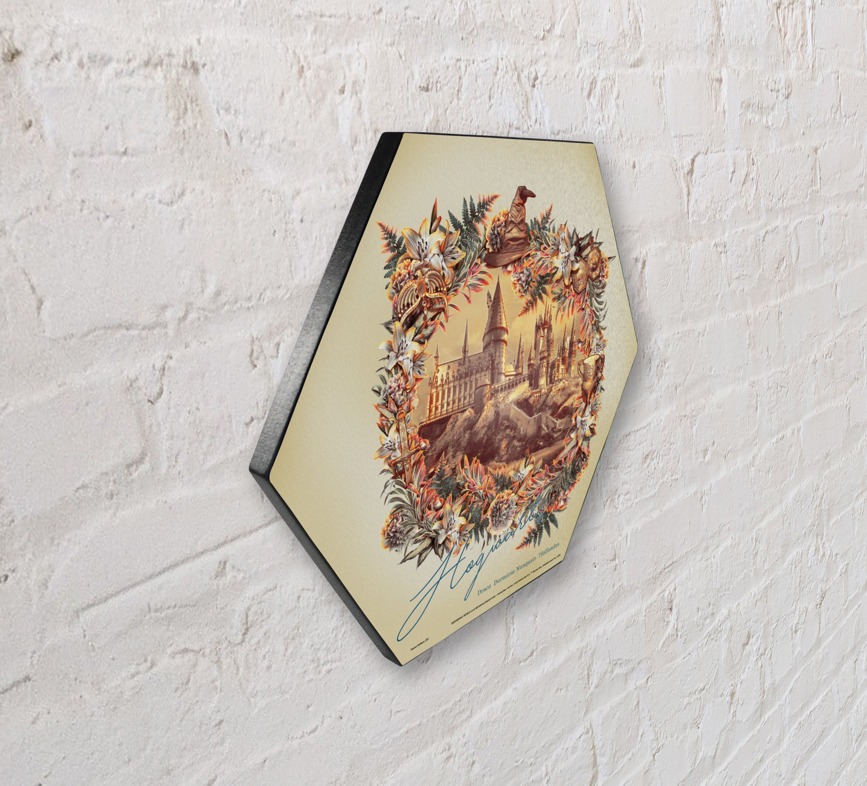 Harry Potter (Utilitarian Romance Hogwarts) KNEXAGON® Wood Print WPHEX7549UTROM