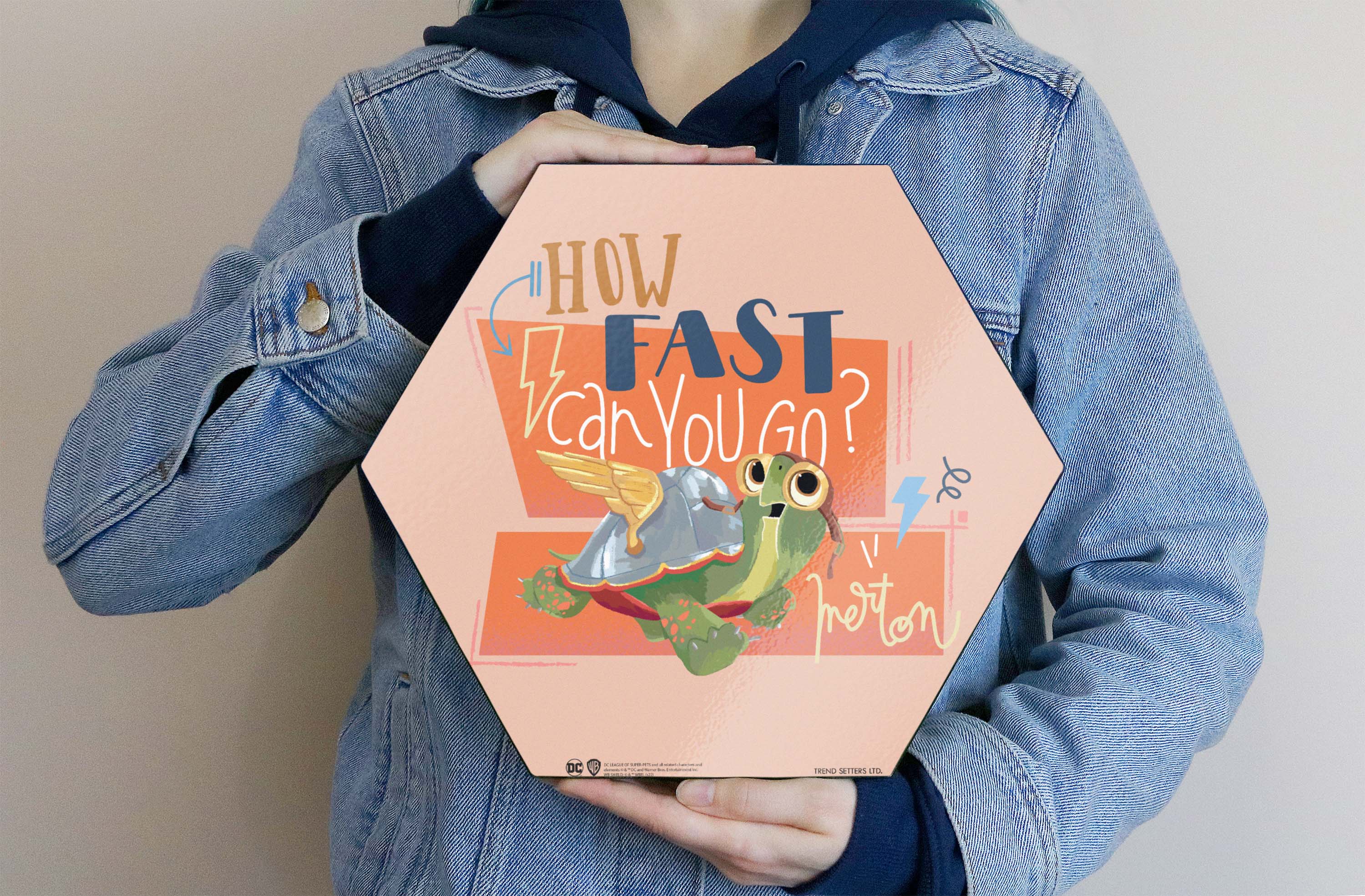 DC League of Super-Pets (How Fast Can You Go) KNEXAGON® Wood Print WPHEX7711