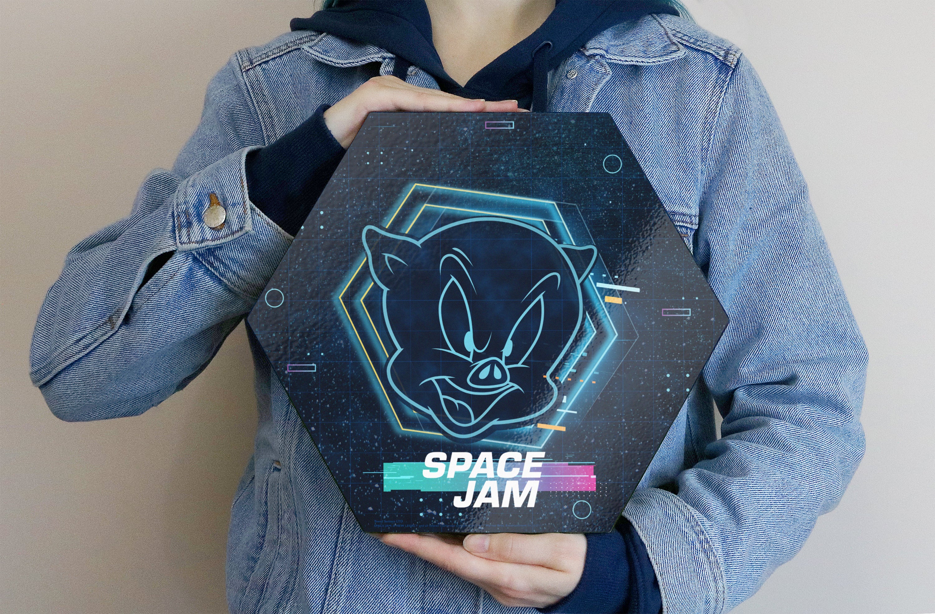 Space Jam: A New Legacy (Tune Squad- Porky Pig) KNEXAGON® Wood Print WPHEX7823SJTS