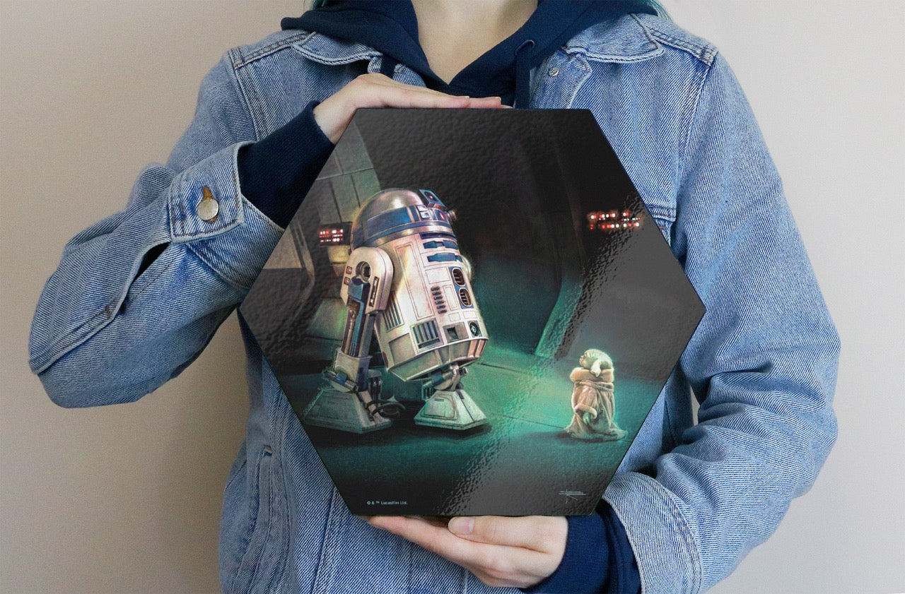 Star Wars (First Meeting by Brian Rood) KNEXAGON™ Wood Print WPHEX7827