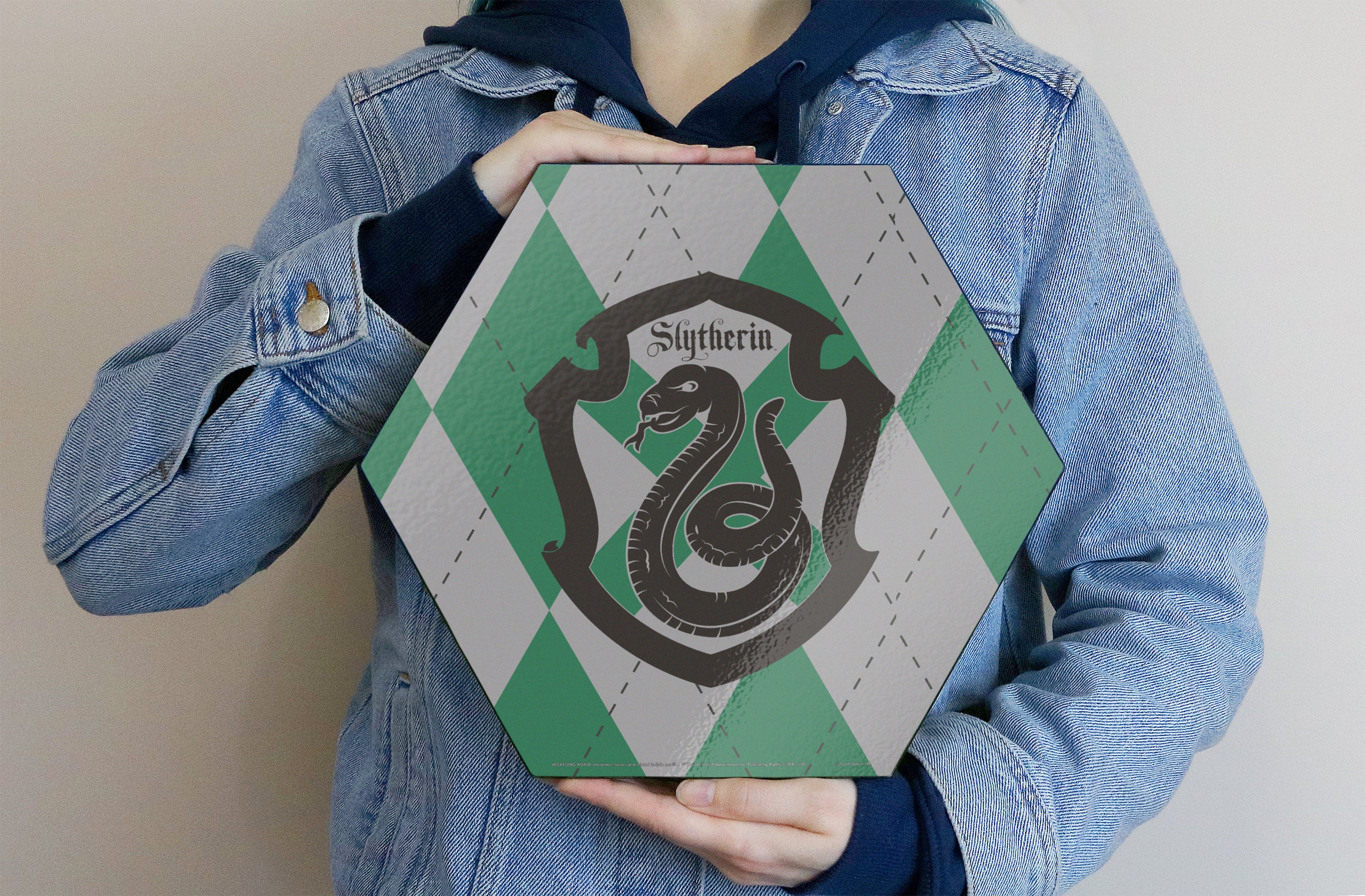 Harry Potter (Slytherin Plaid) KNEXAGON® Wood Print WPHEX7898HPHS